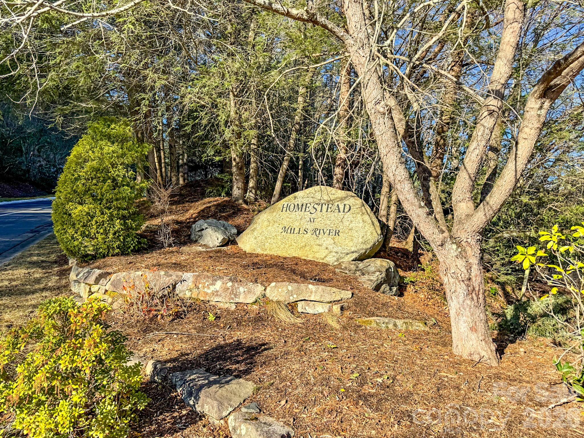 1647 Mills River Way Property Photo 35