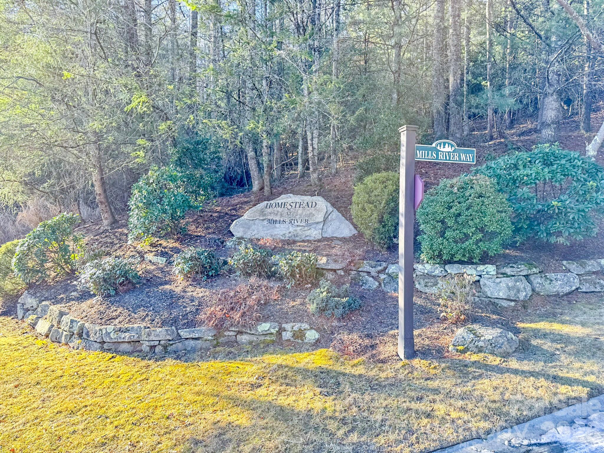 1647 Mills River Way Property Photo 36