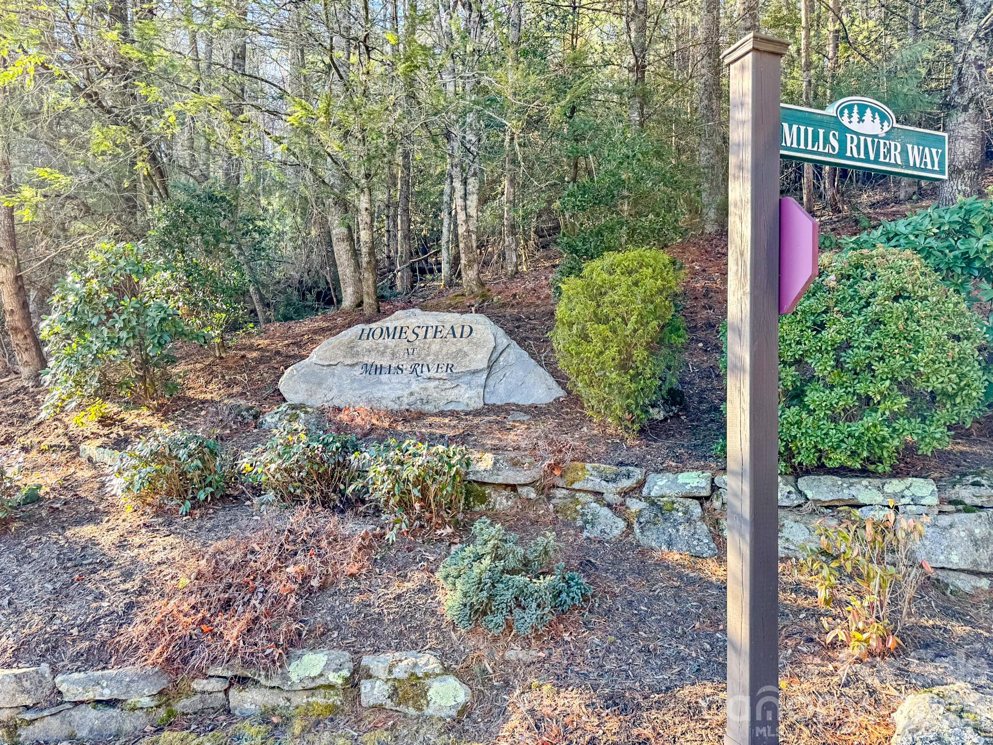 1647 Mills River Way Property Photo 37