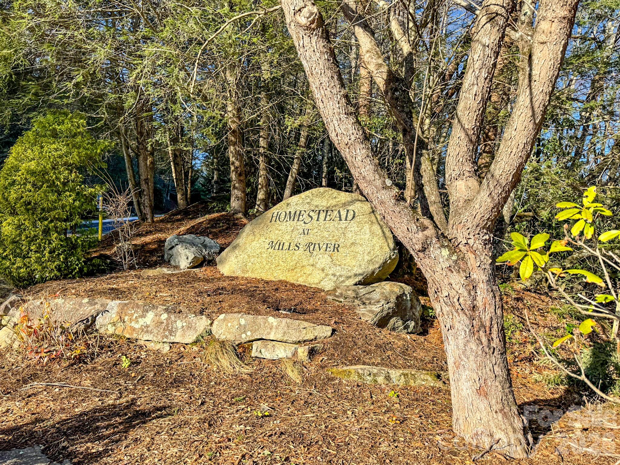 1647 Mills River Way Property Photo 39