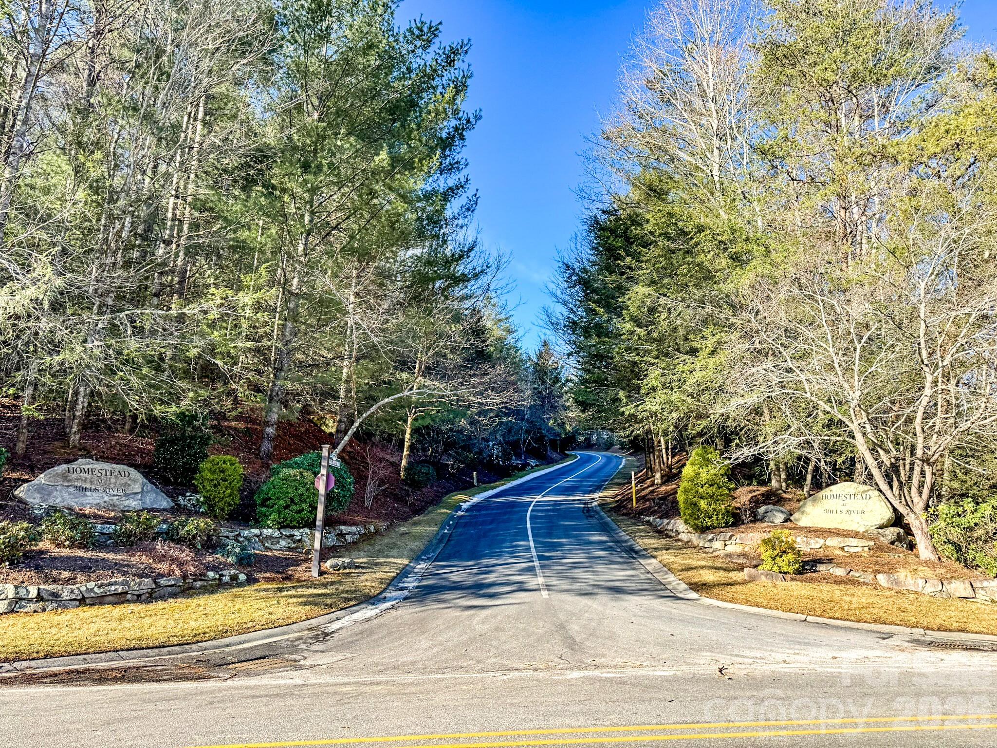 1647 Mills River Way Property Photo 40