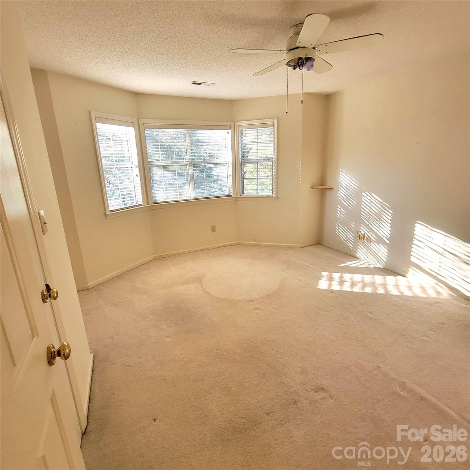 1009 Hunley Hill Court Property Photo 18