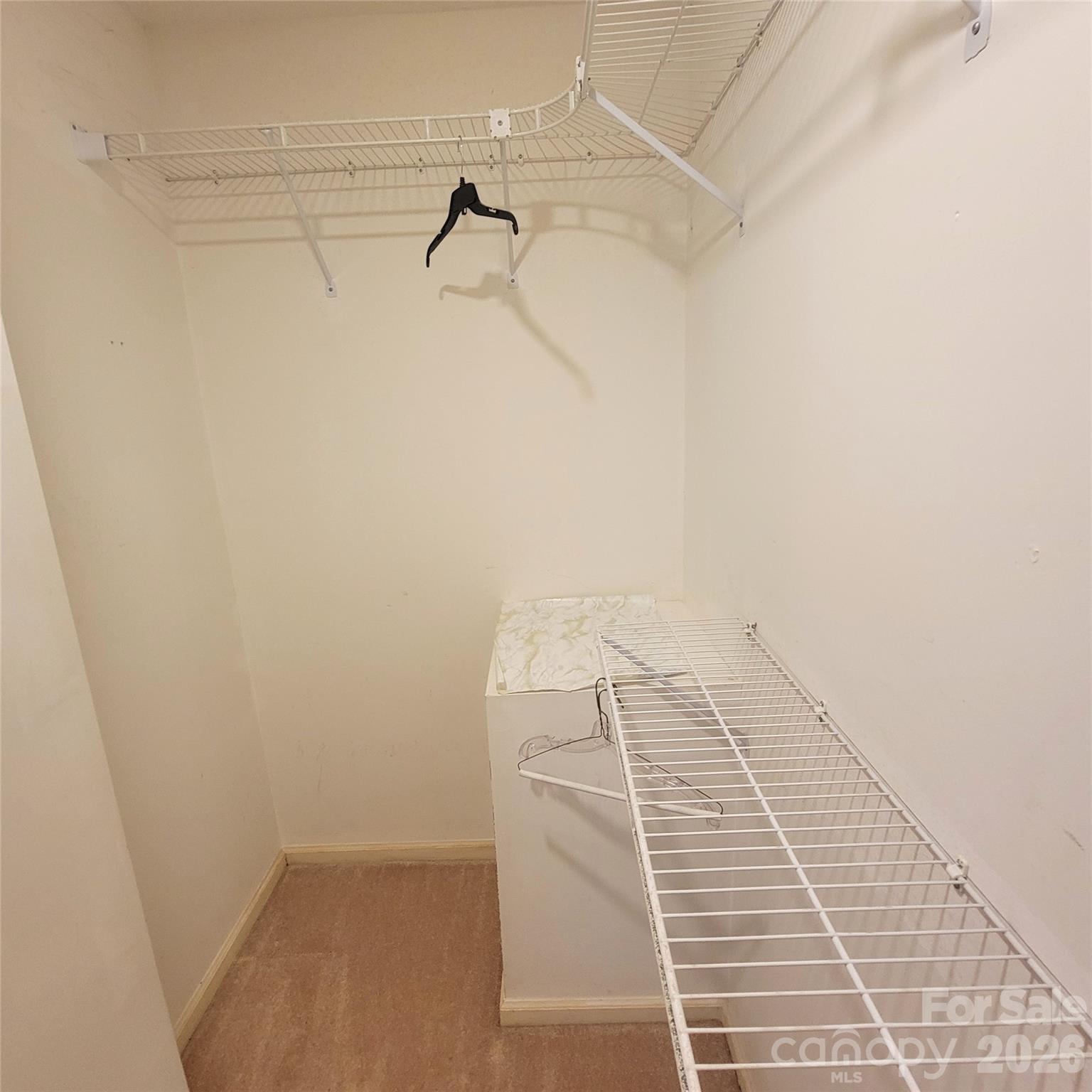 1009 Hunley Hill Court Property Photo 20