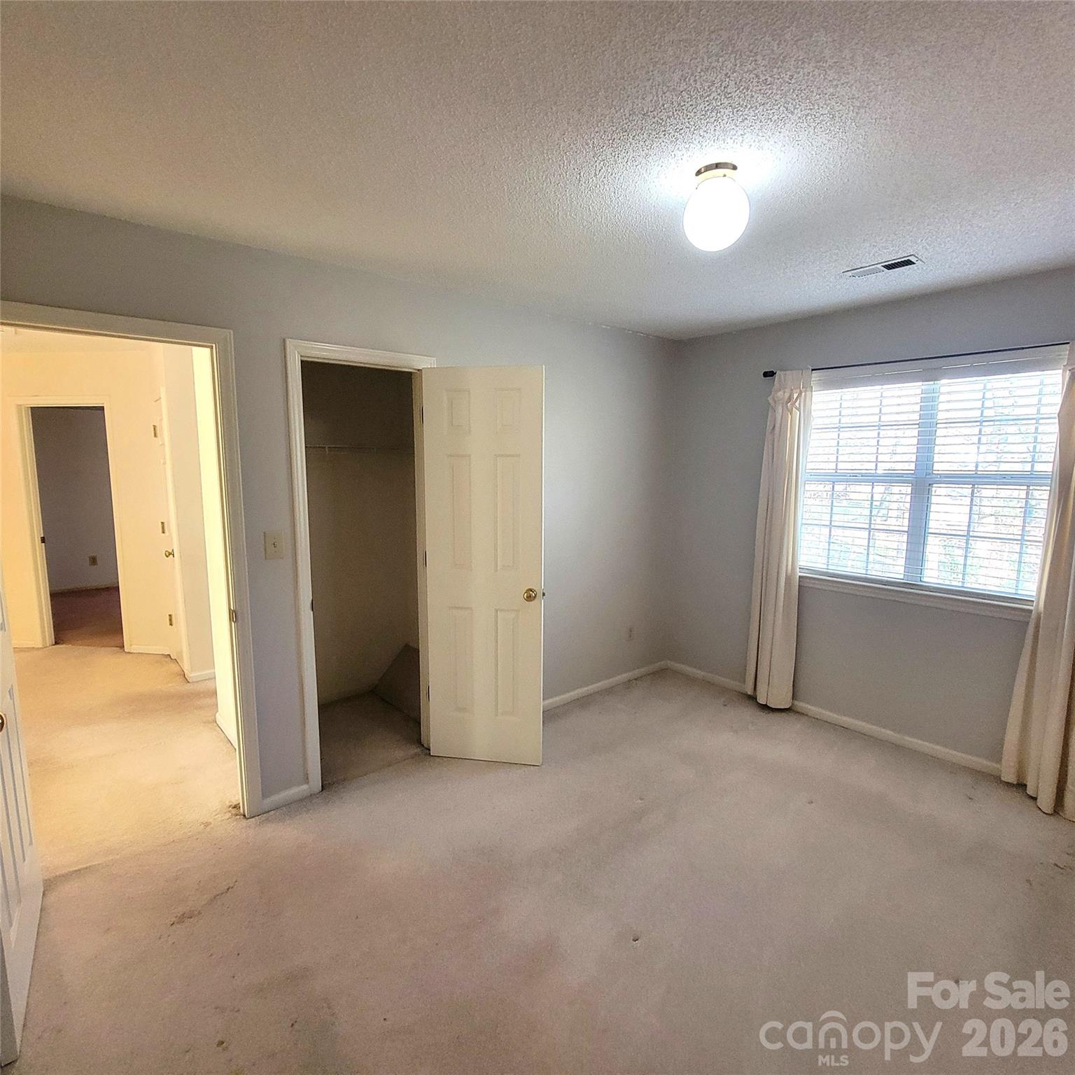 1009 Hunley Hill Court Property Photo 29