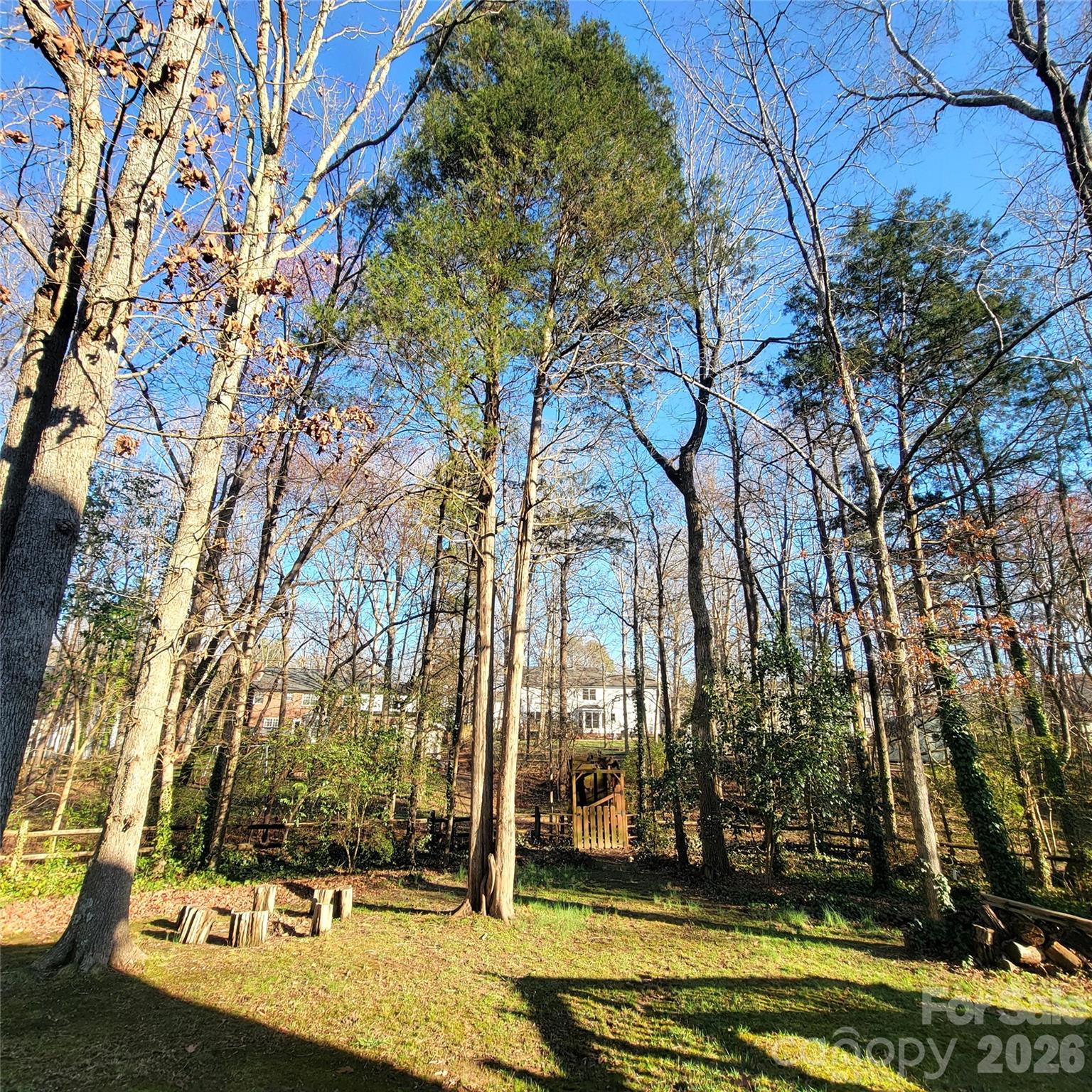 1009 Hunley Hill Court Property Photo 34