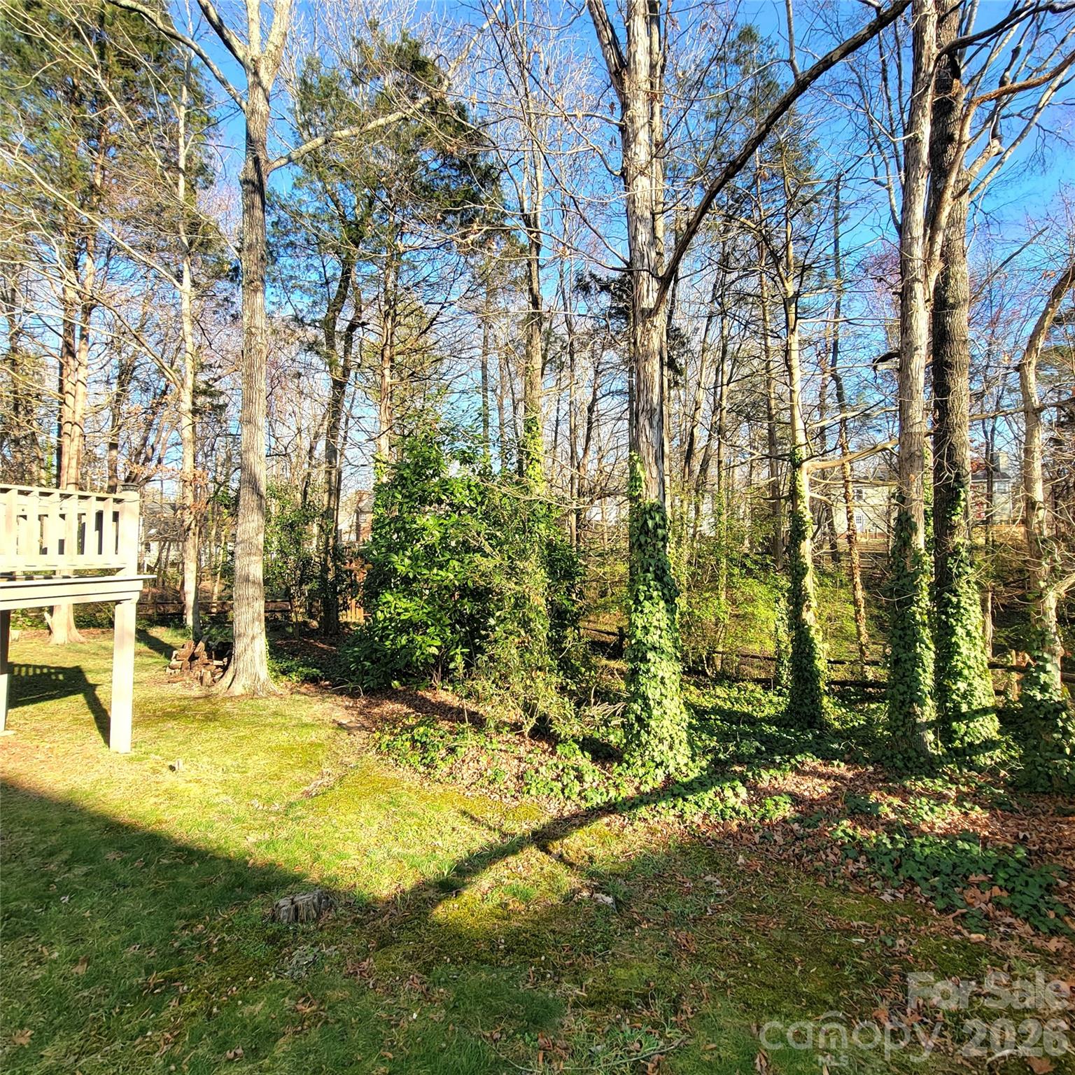 1009 Hunley Hill Court Property Photo 35