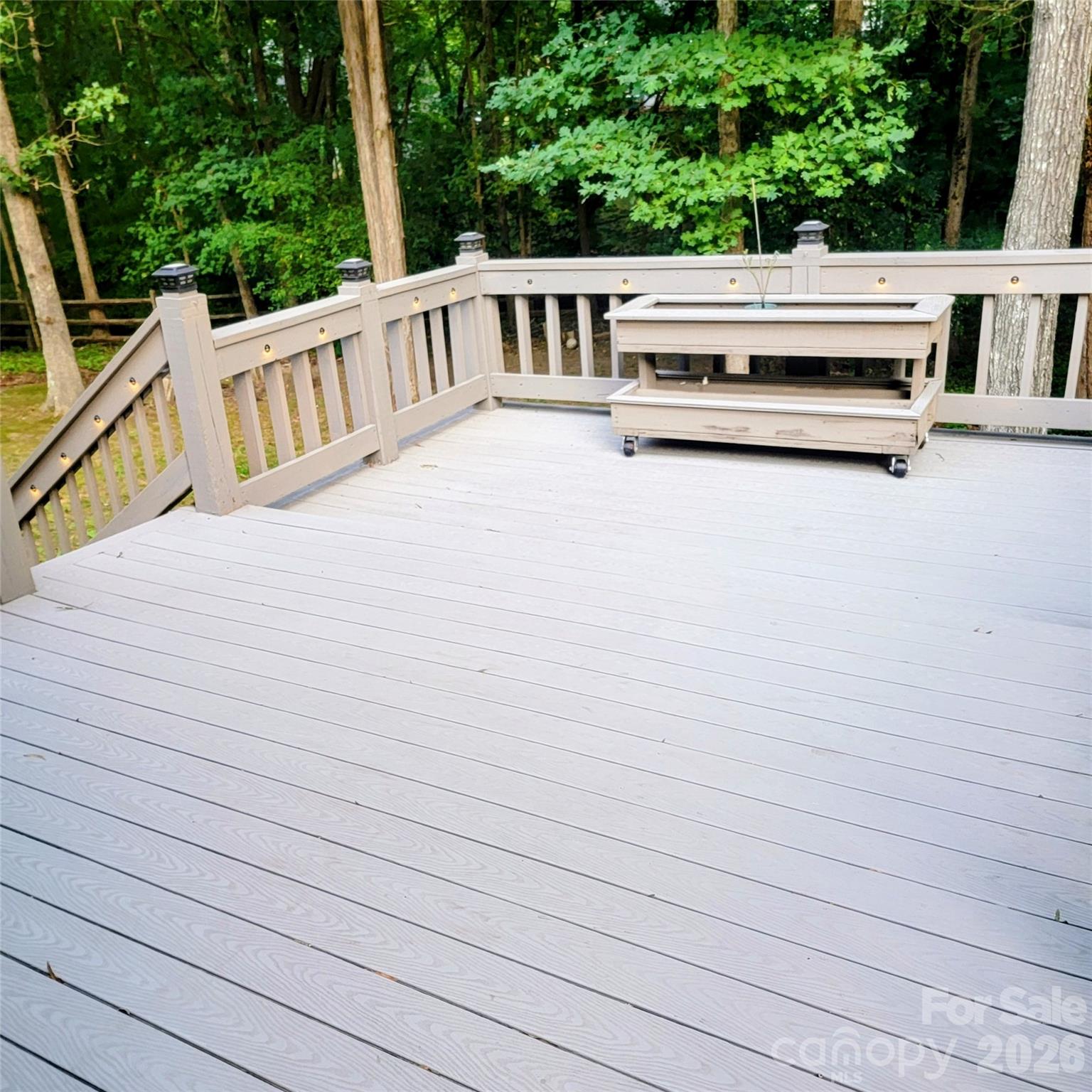 1009 Hunley Hill Court Property Photo 39