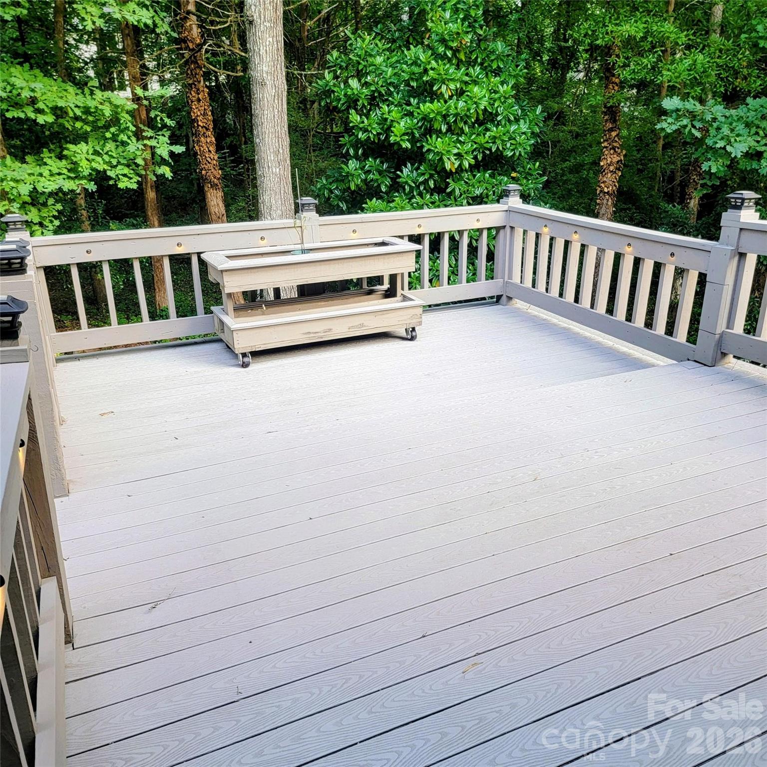 1009 Hunley Hill Court Property Photo 40