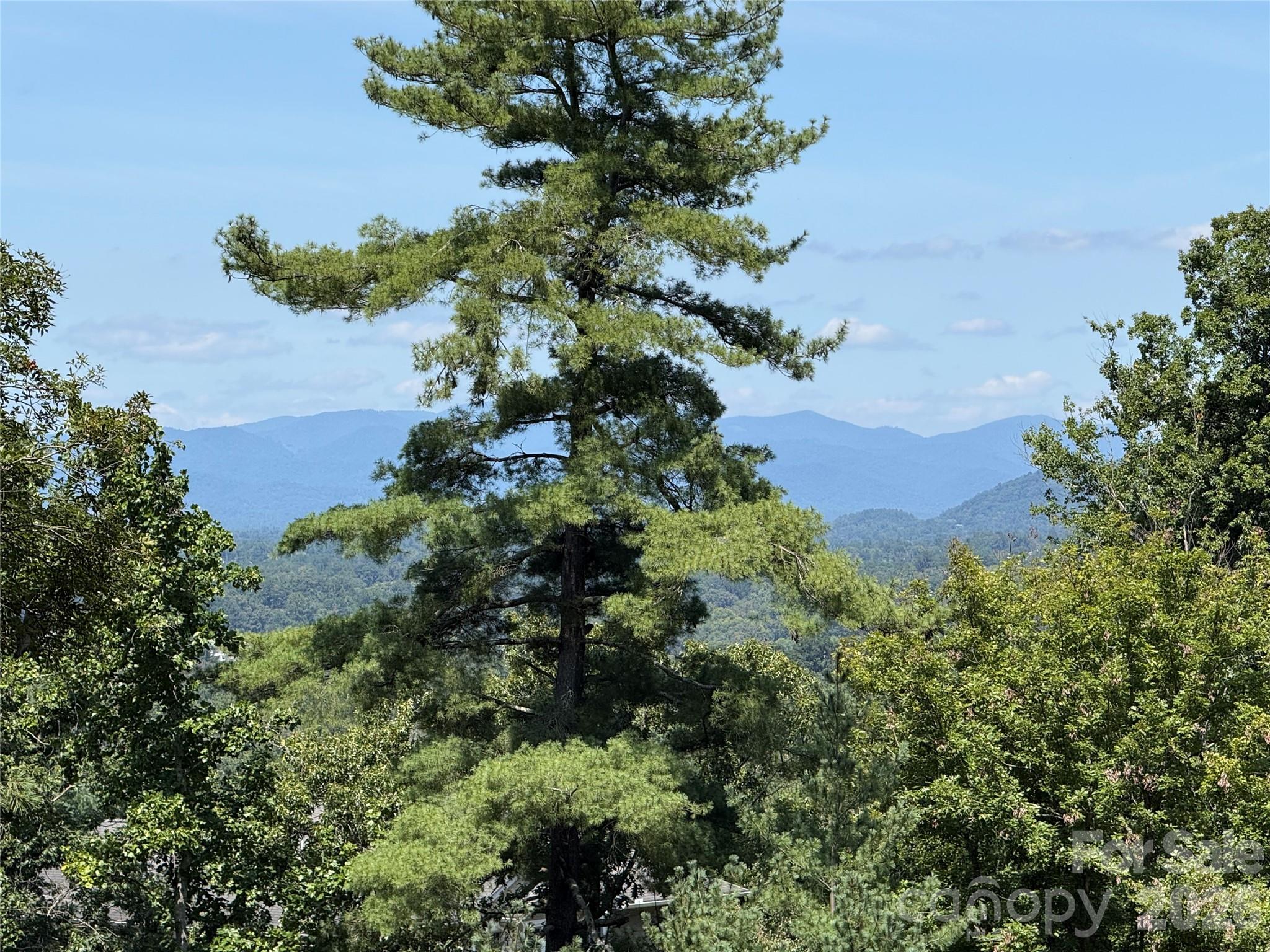 44 Leisure Mountain Road Property Photo 1