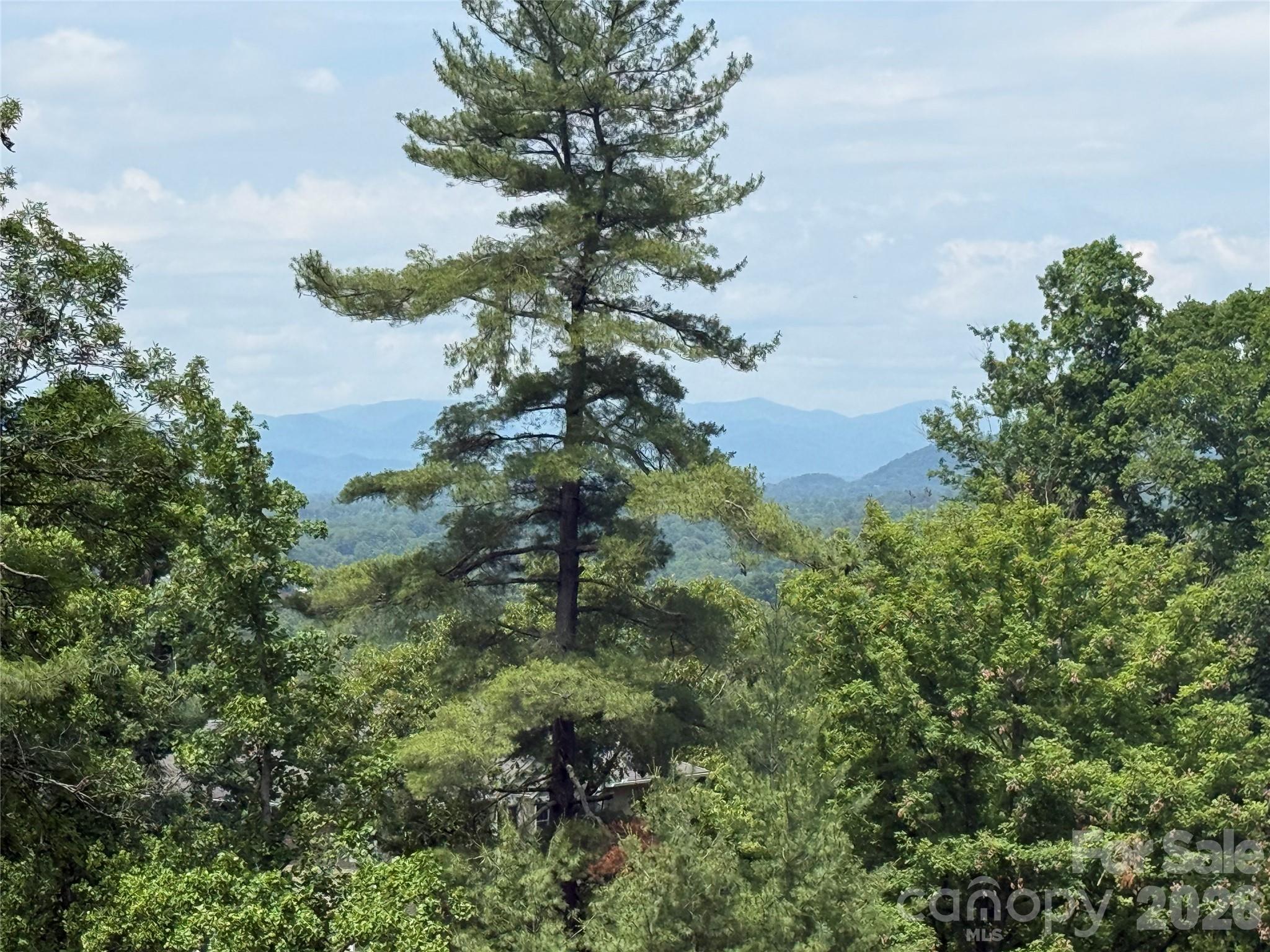 44 Leisure Mountain Road Property Photo 2