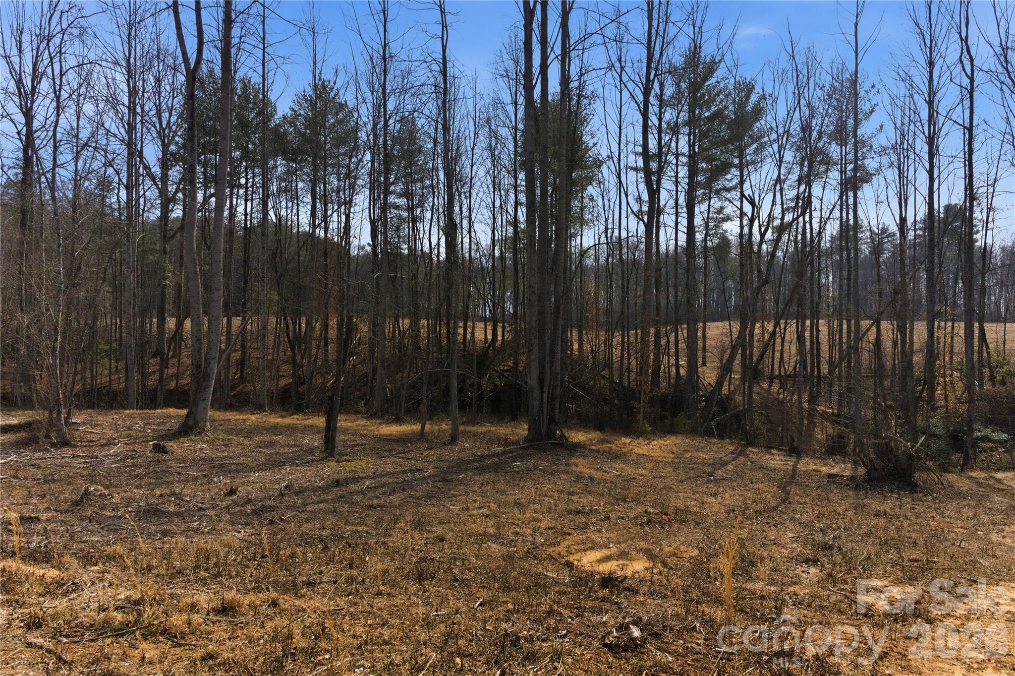 00 Mccurry Farm Lane D Property Photo 12