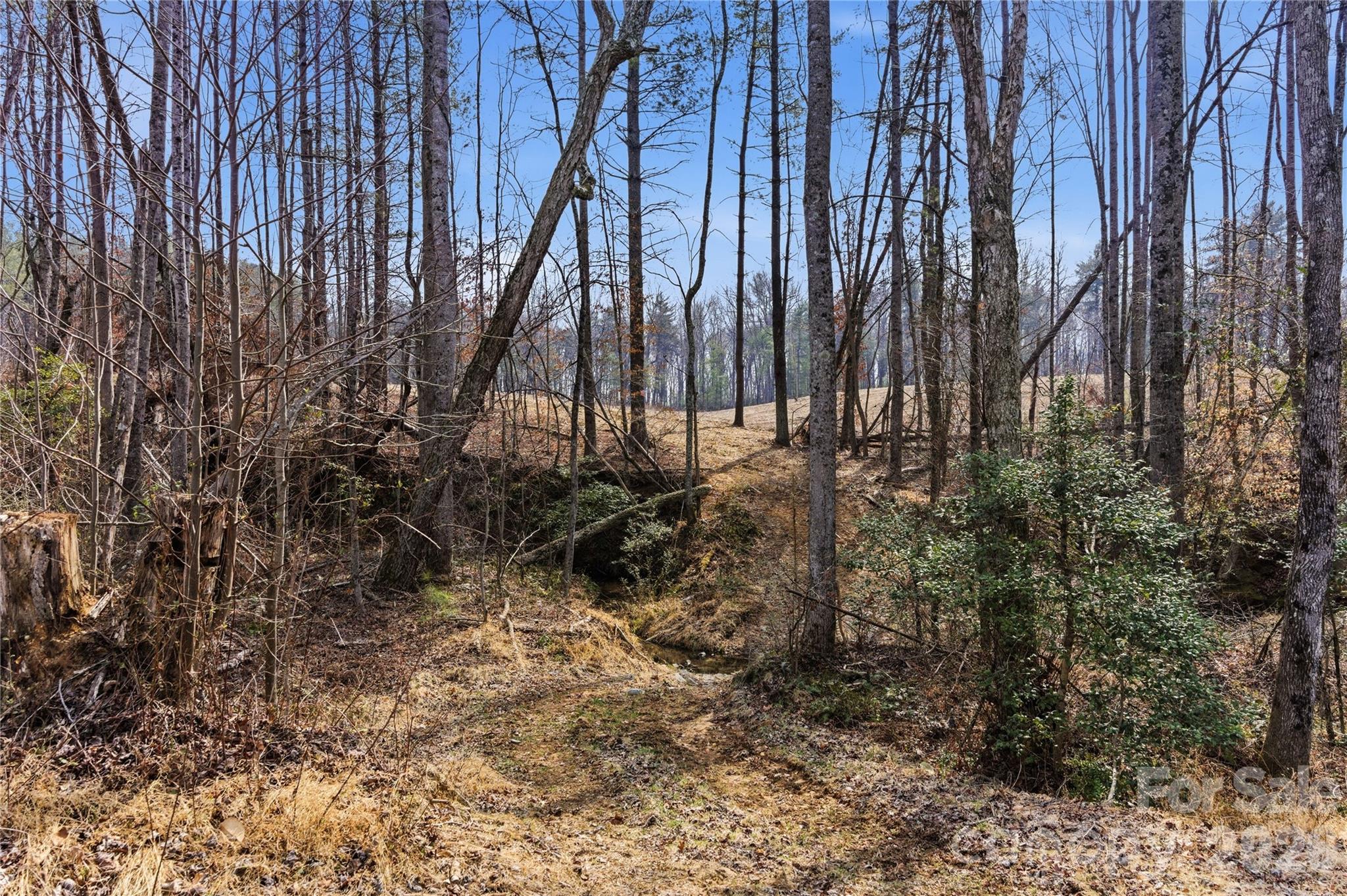 00 Mccurry Farm Lane D Property Photo 14