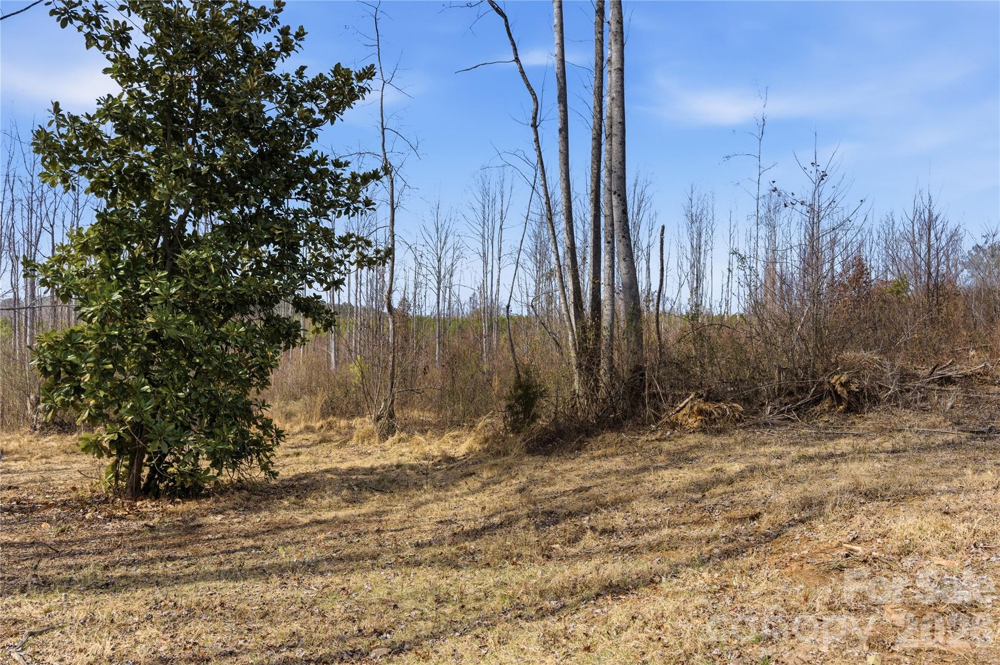 00 Mccurry Farm Lane D Property Photo 16