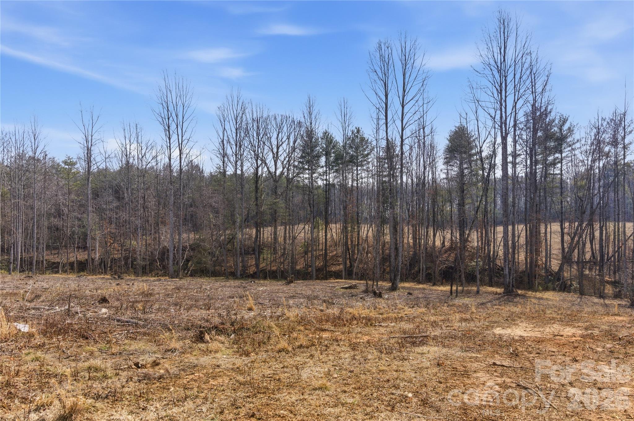 00 Mccurry Farm Lane D Property Photo 17