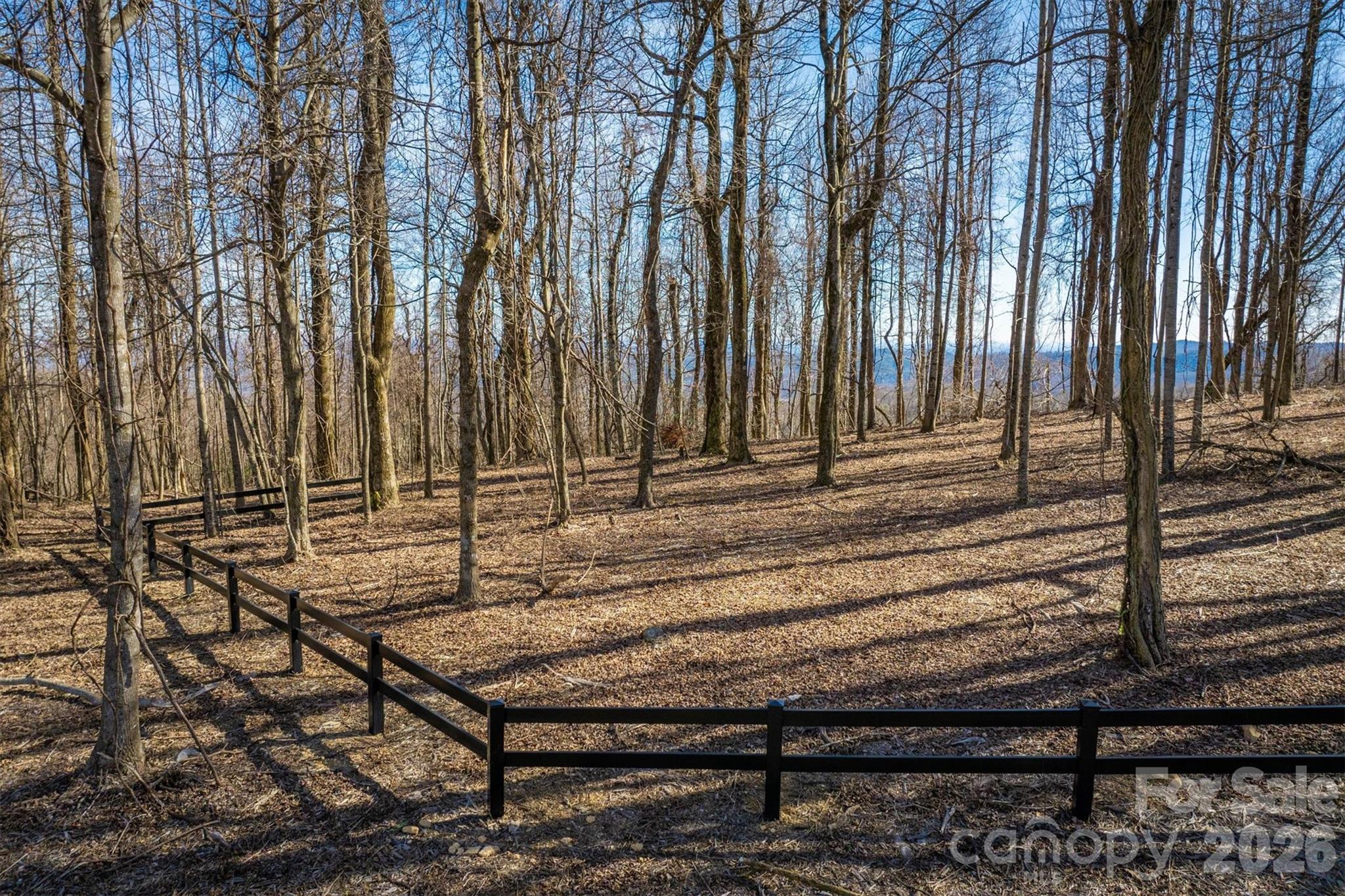 7596 Walkertop Mtn Overlook Drive Property Photo 3