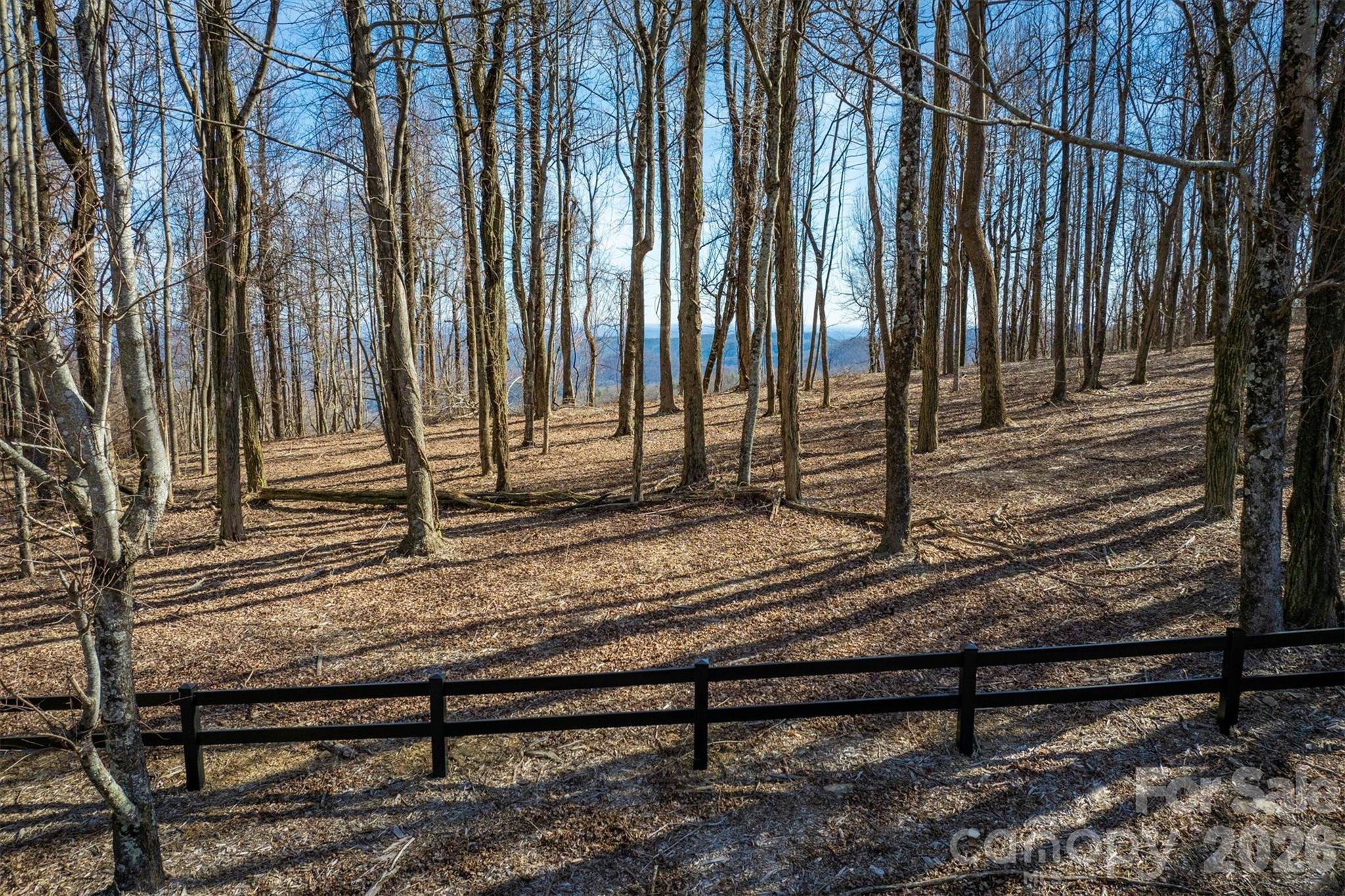 7596 Walkertop Mtn Overlook Drive Property Photo 5