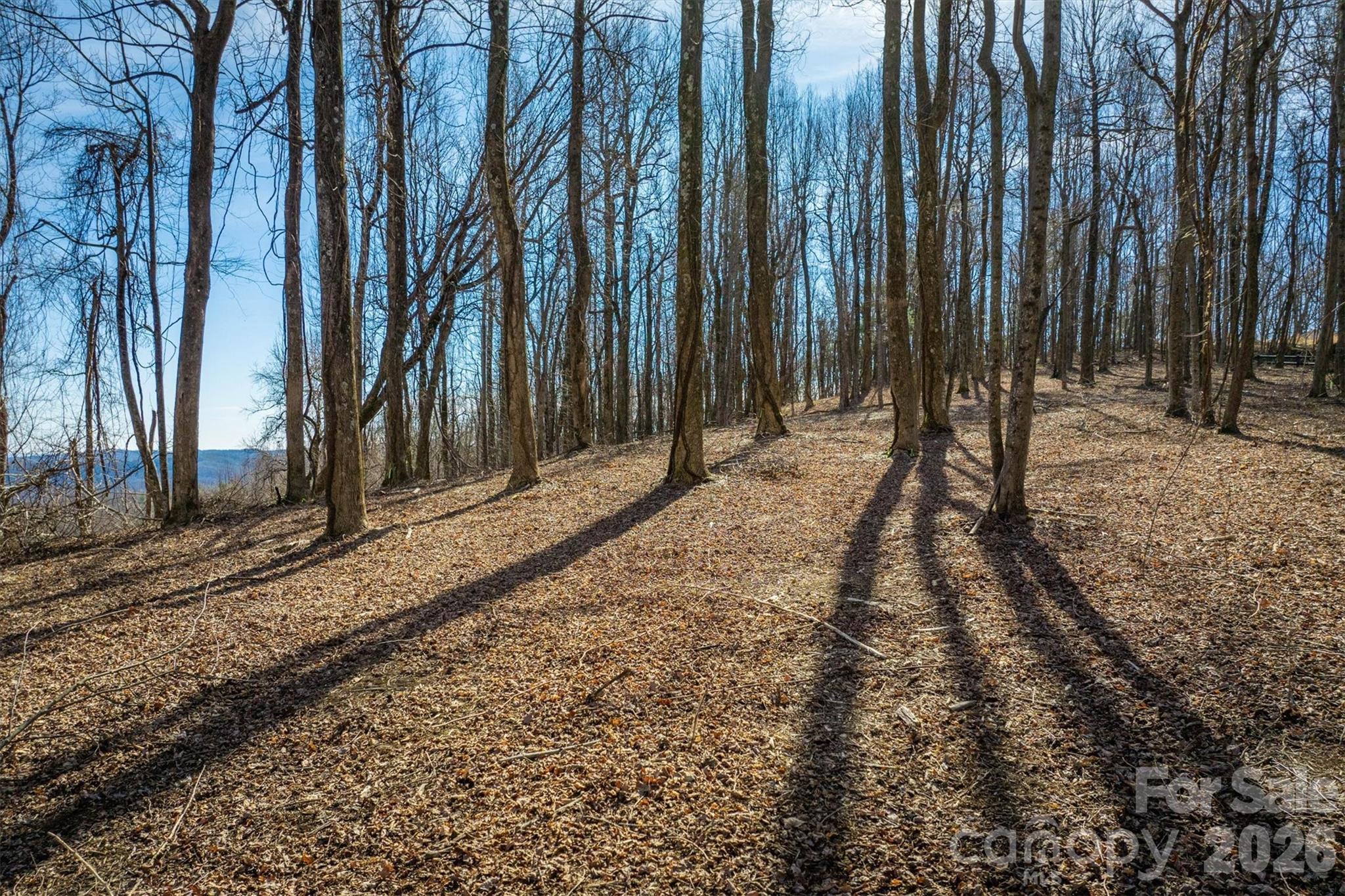 7596 Walkertop Mtn Overlook Drive Property Photo 7