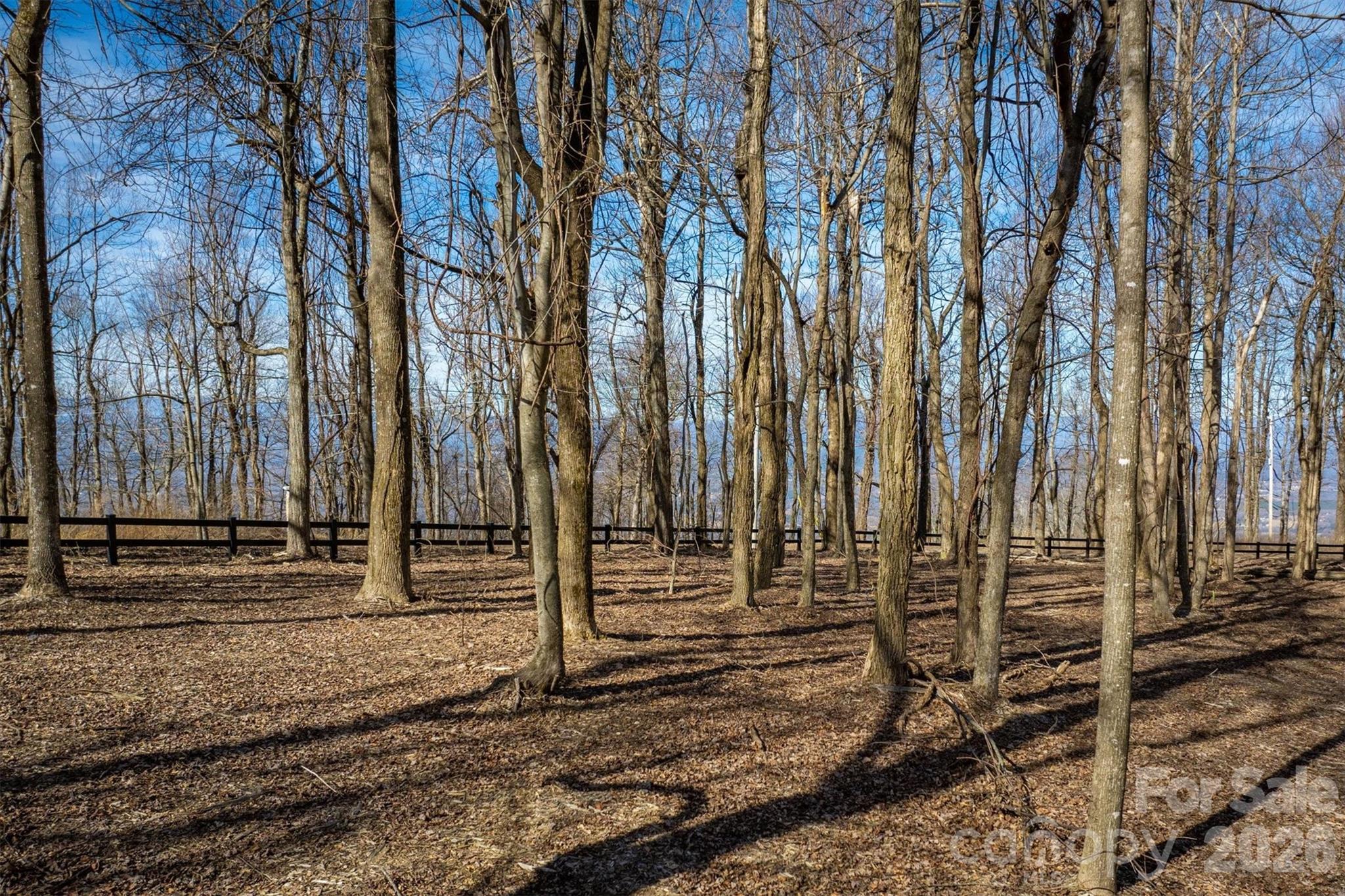 7596 Walkertop Mtn Overlook Drive Property Photo 9