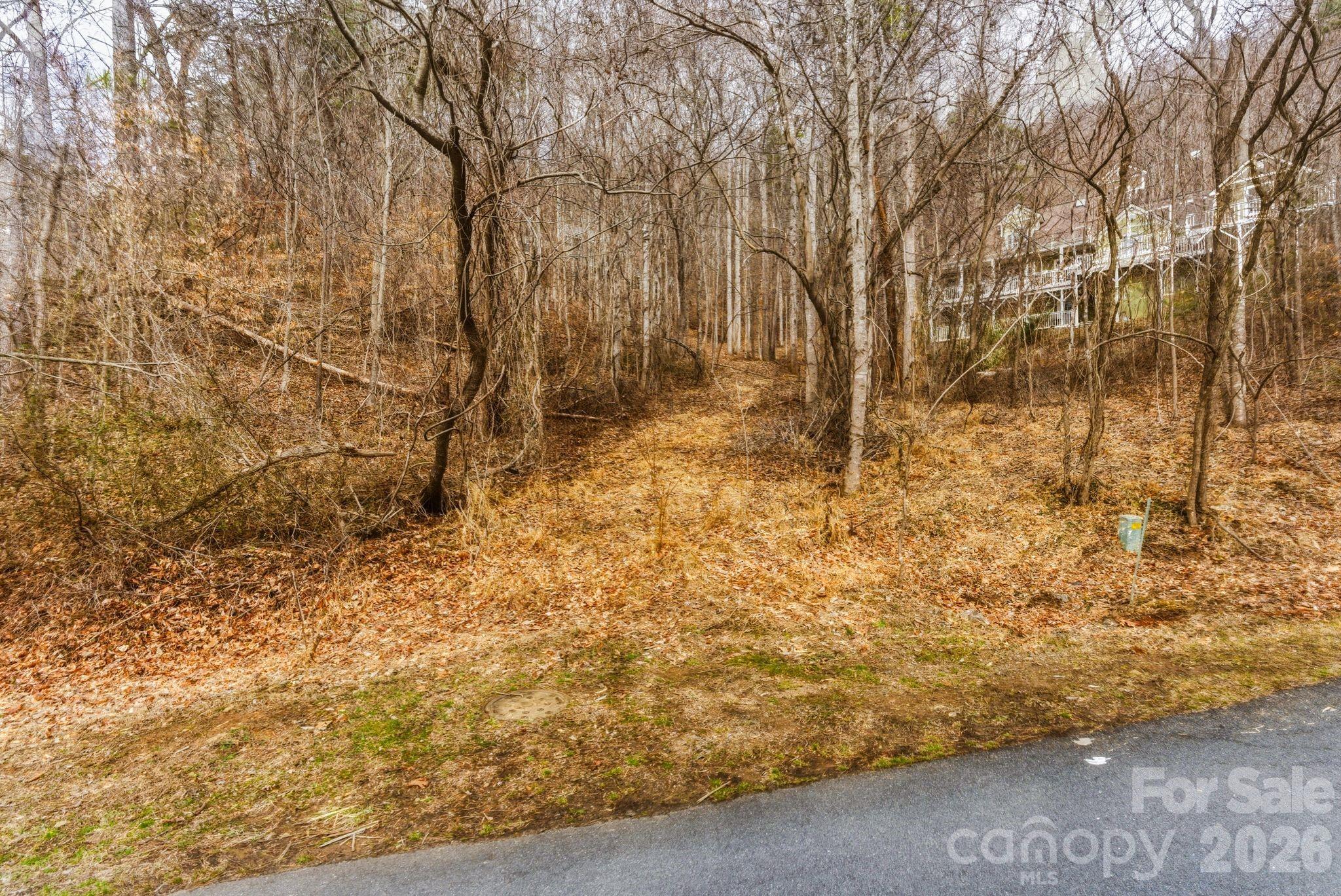 99999 Hawk View Drive 7 Property Photo 3
