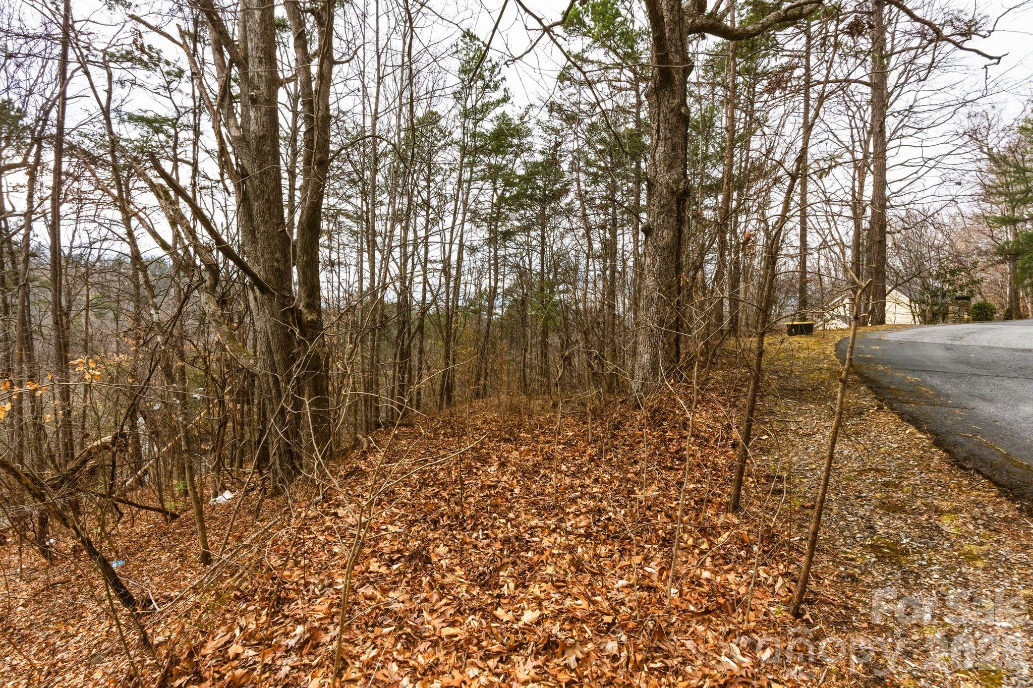 99999 Hawk View Drive 7 Property Photo 8