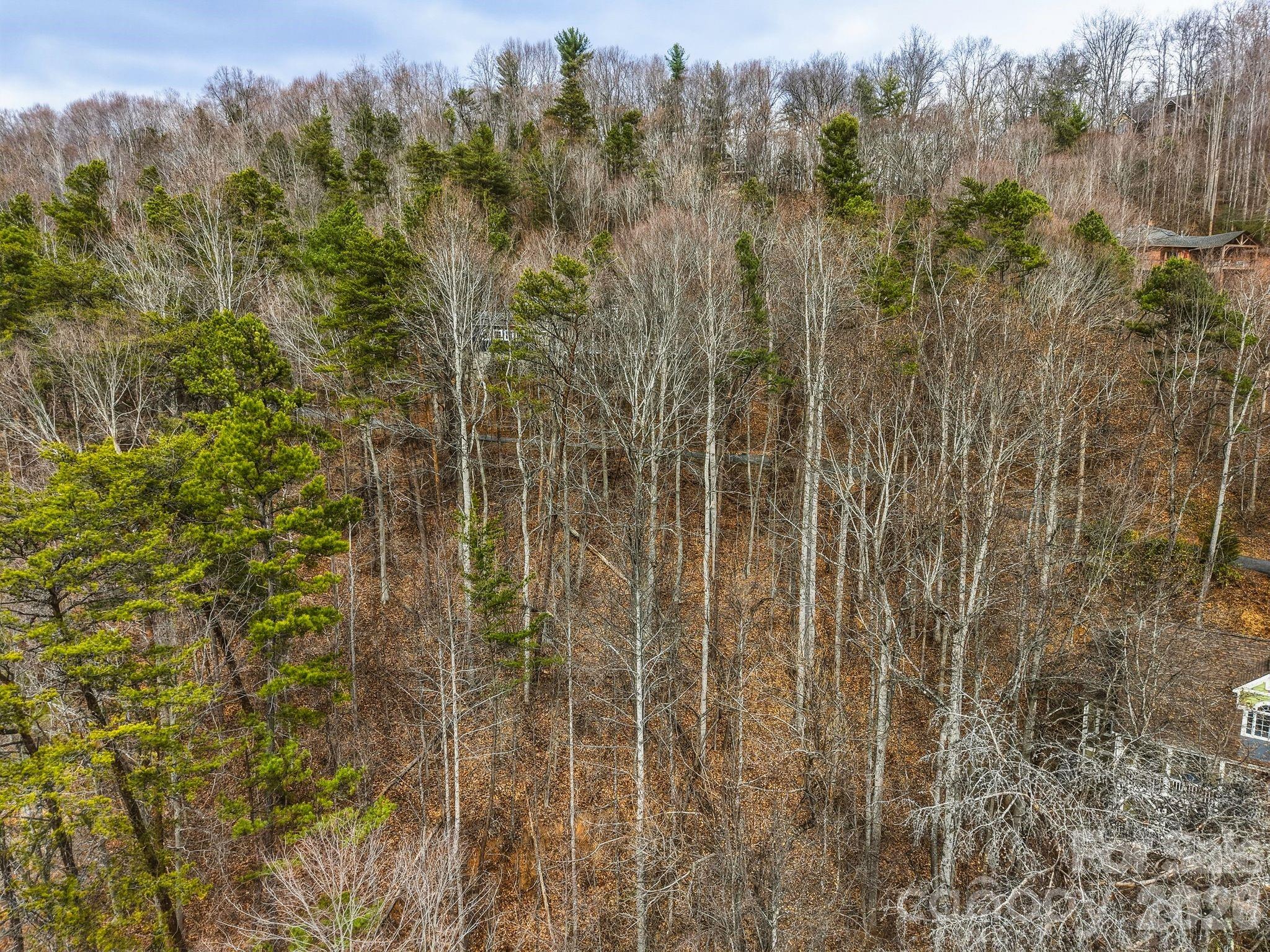 99999 Hawk View Drive 7 Property Photo 11
