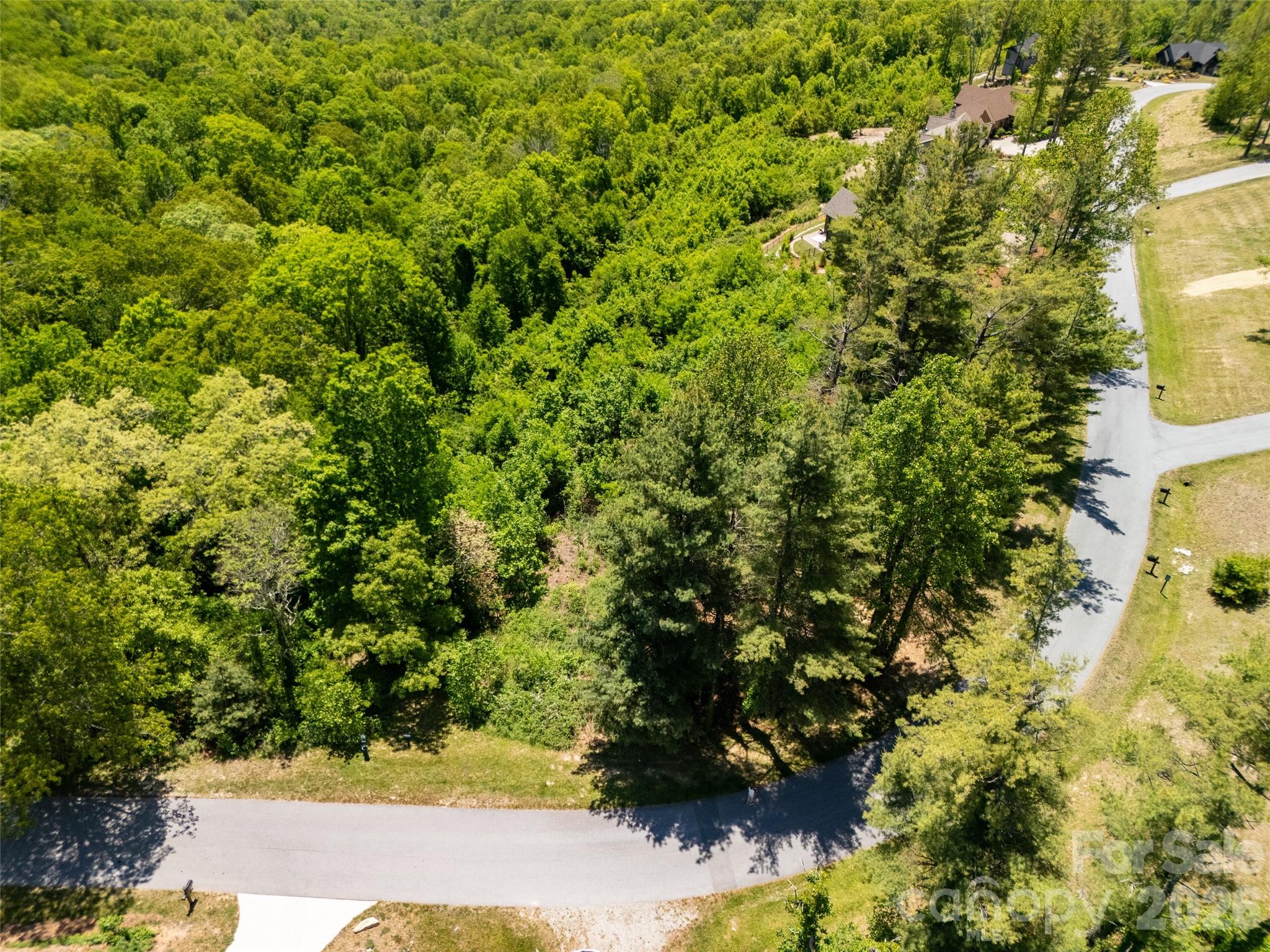 #178 Dancing Bear Drive Property Photo 6