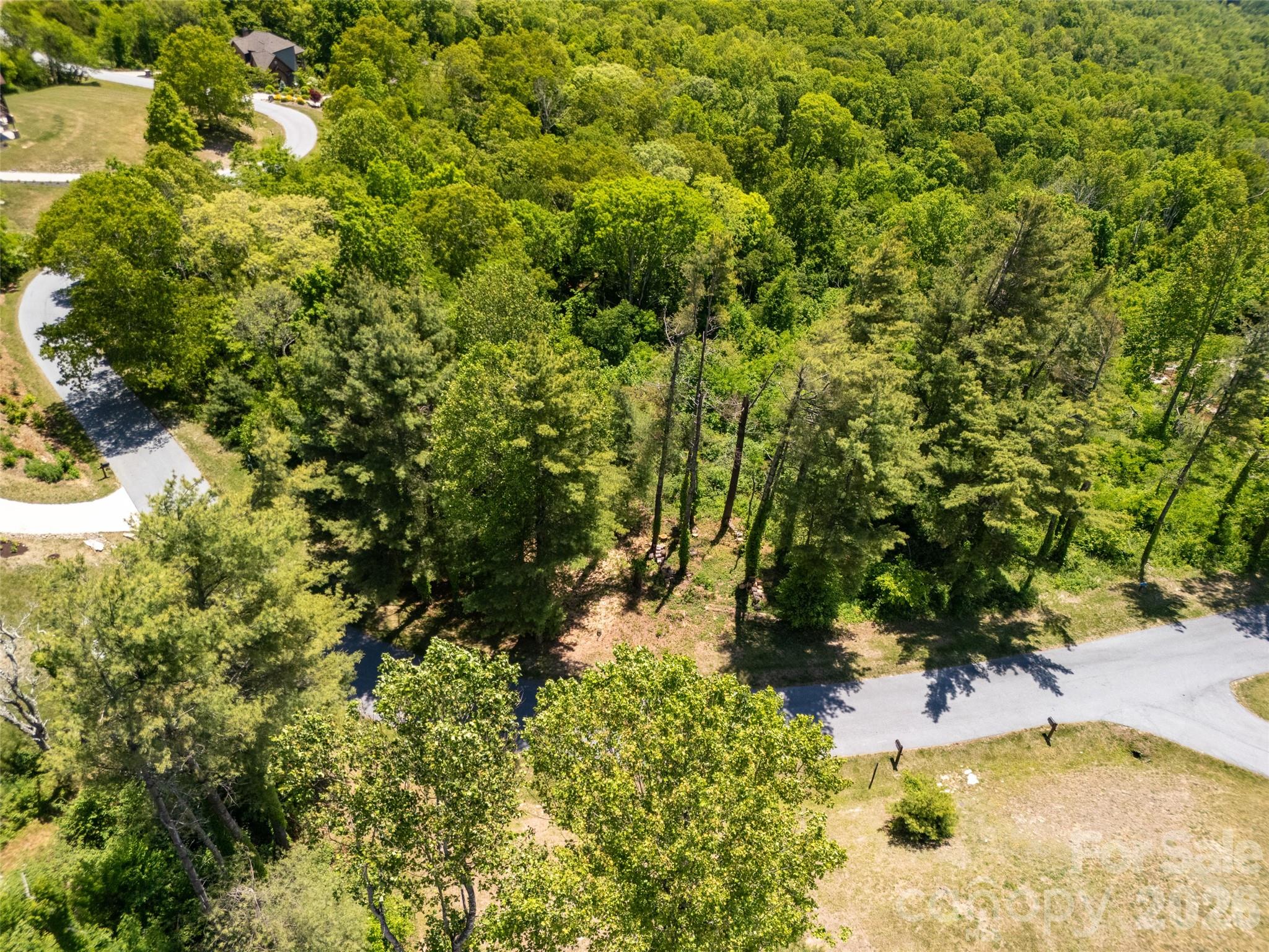#178 Dancing Bear Drive Property Photo 7