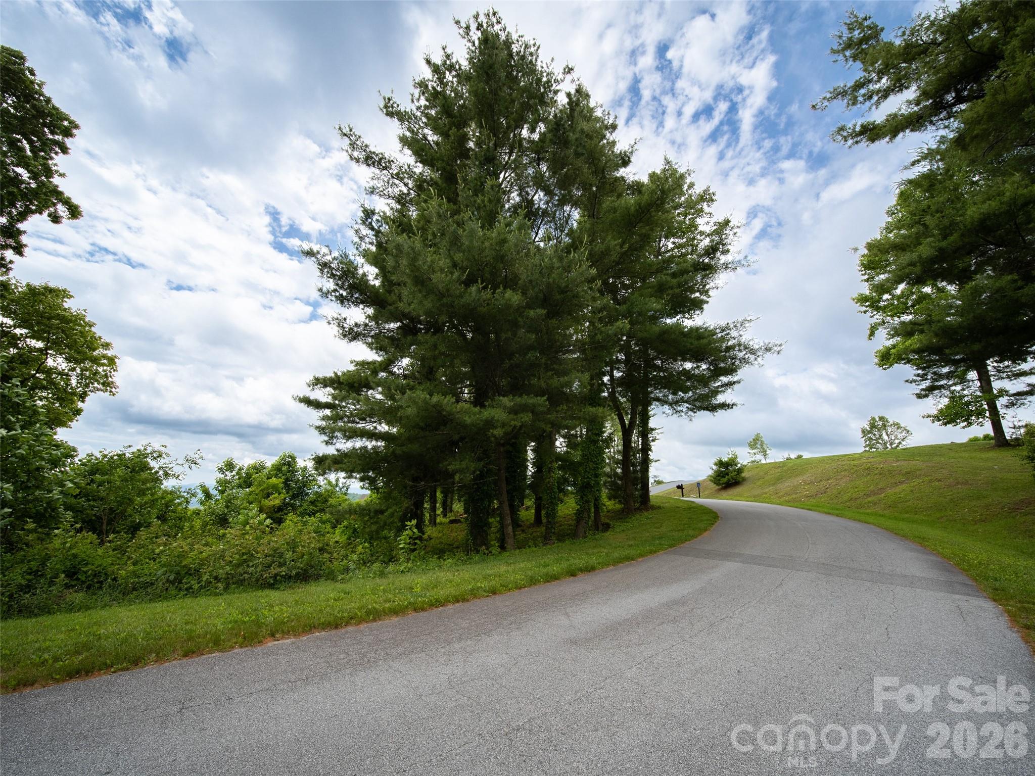 #178 Dancing Bear Drive Property Photo 8