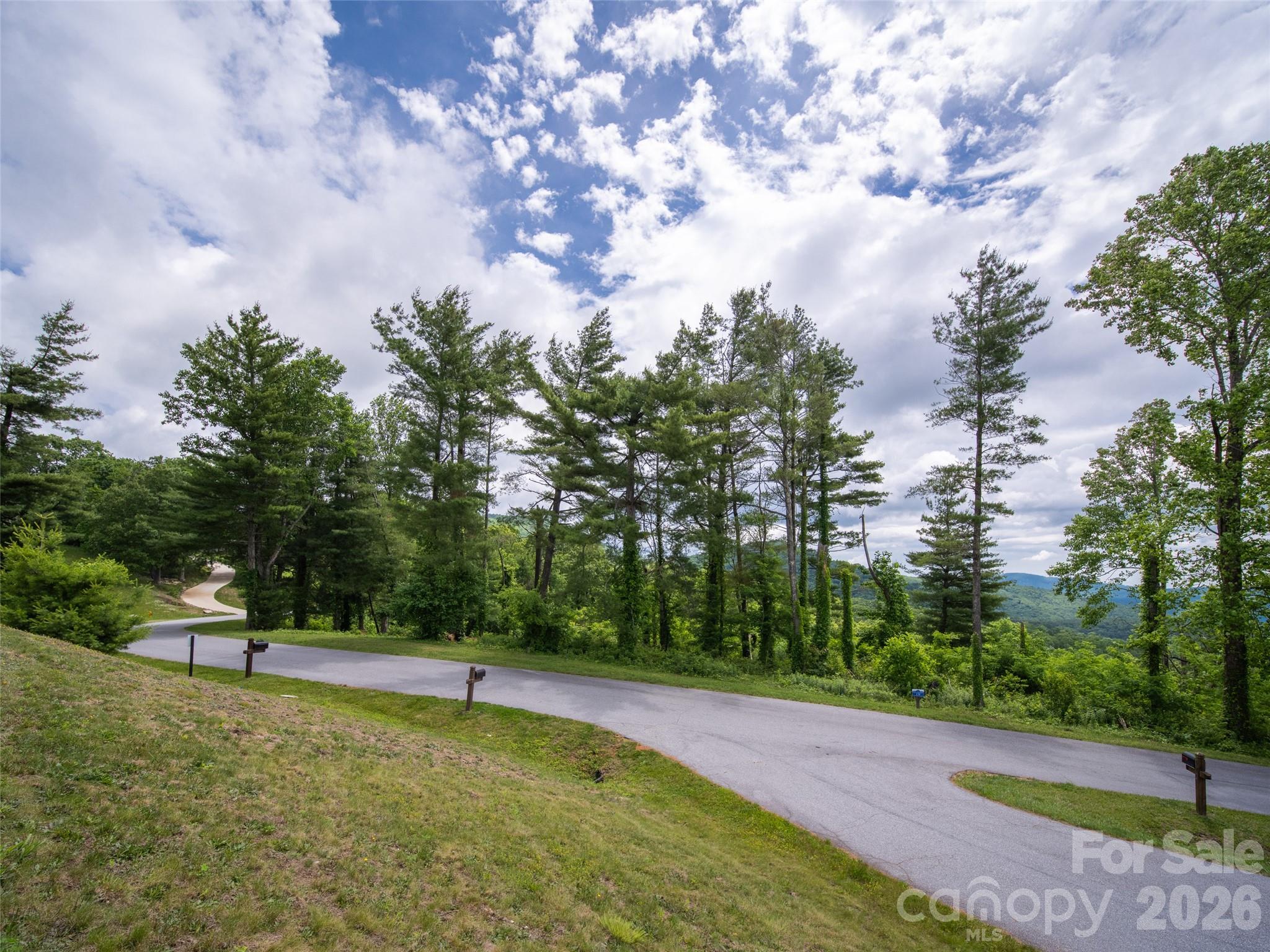 #178 Dancing Bear Drive Property Photo 11