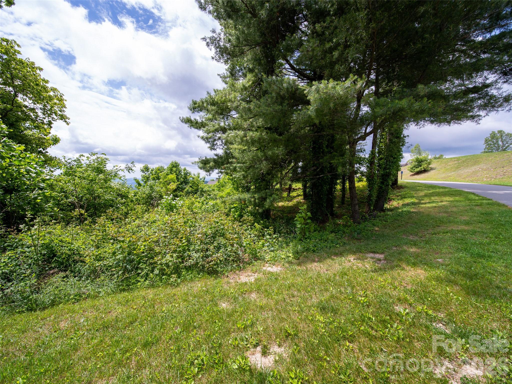#178 Dancing Bear Drive Property Photo 14