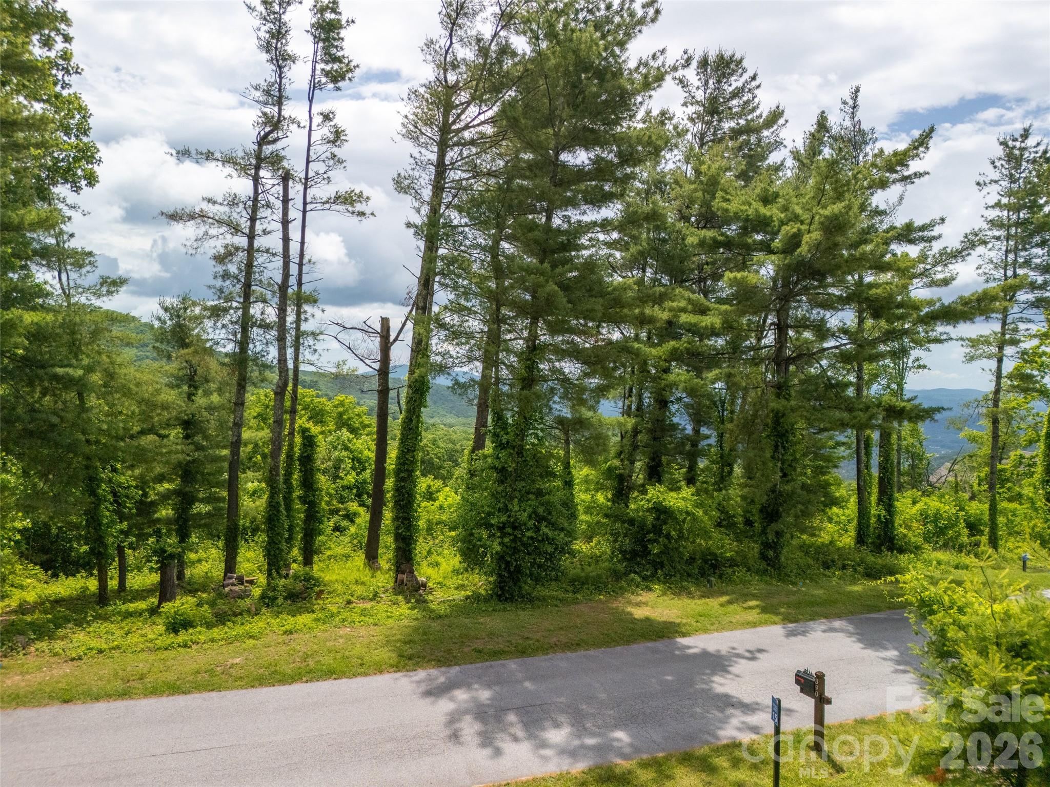 #178 Dancing Bear Drive Property Photo 15