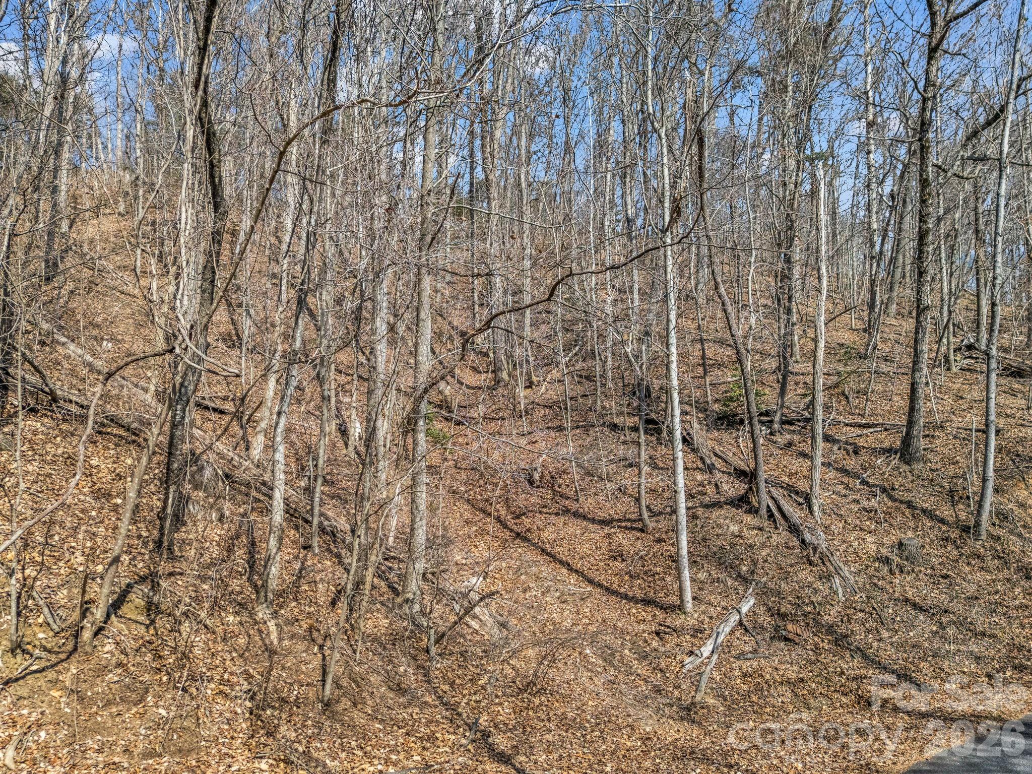 Lot #19 Hemlock Trail 19 Property Photo 3