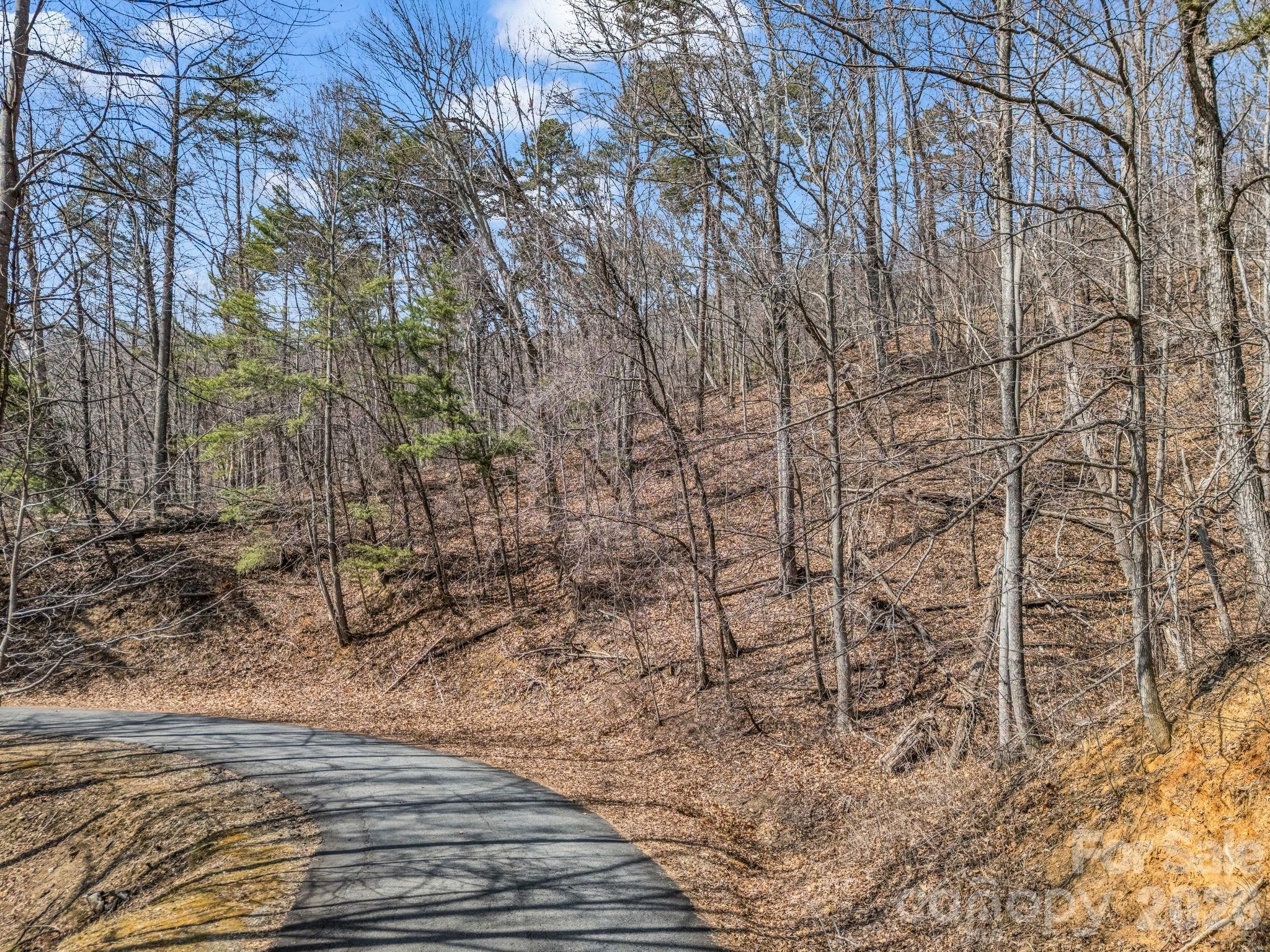 Lot #19 Hemlock Trail 19 Property Photo 5