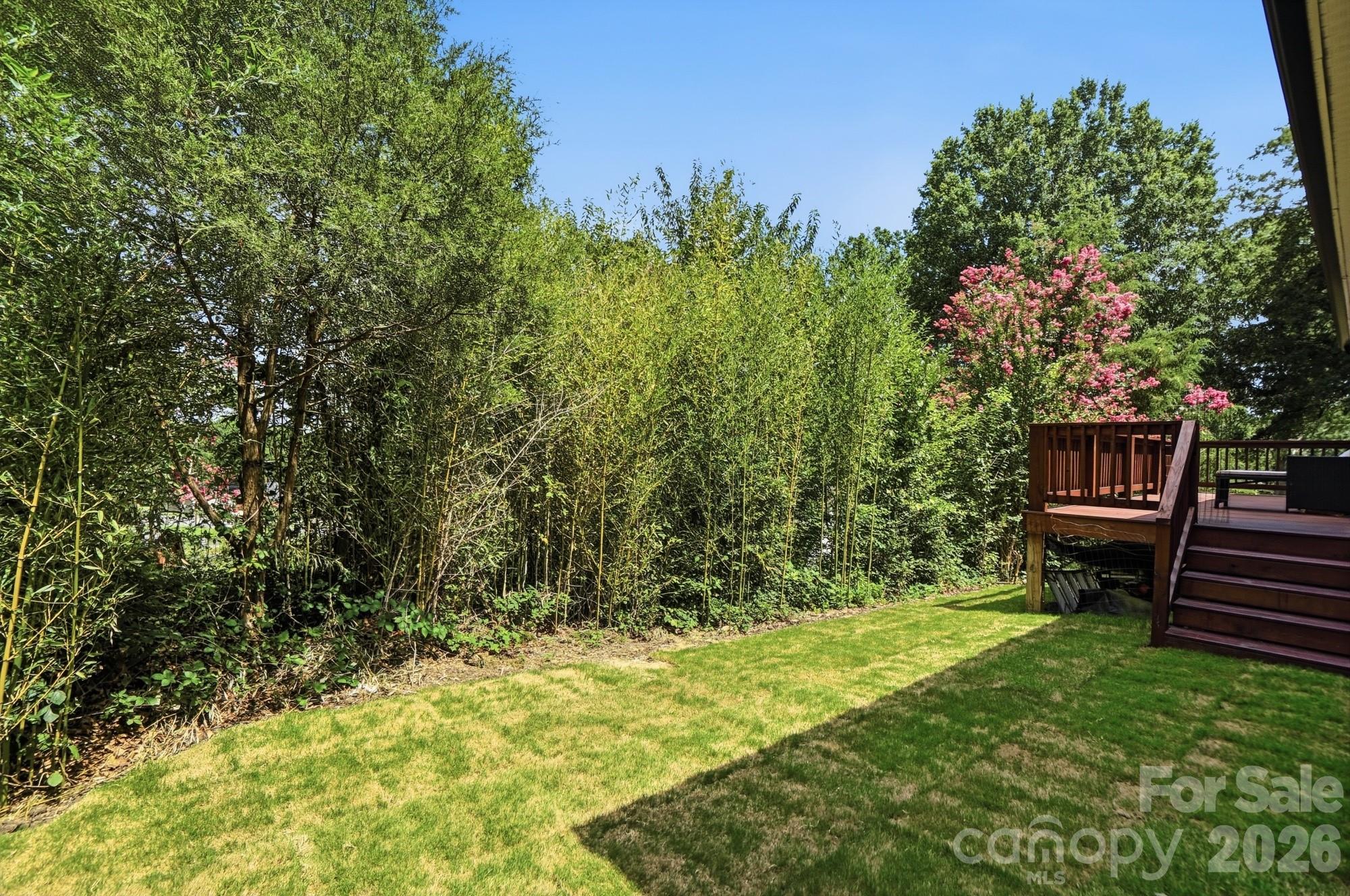 147 White Street Property Photo 25