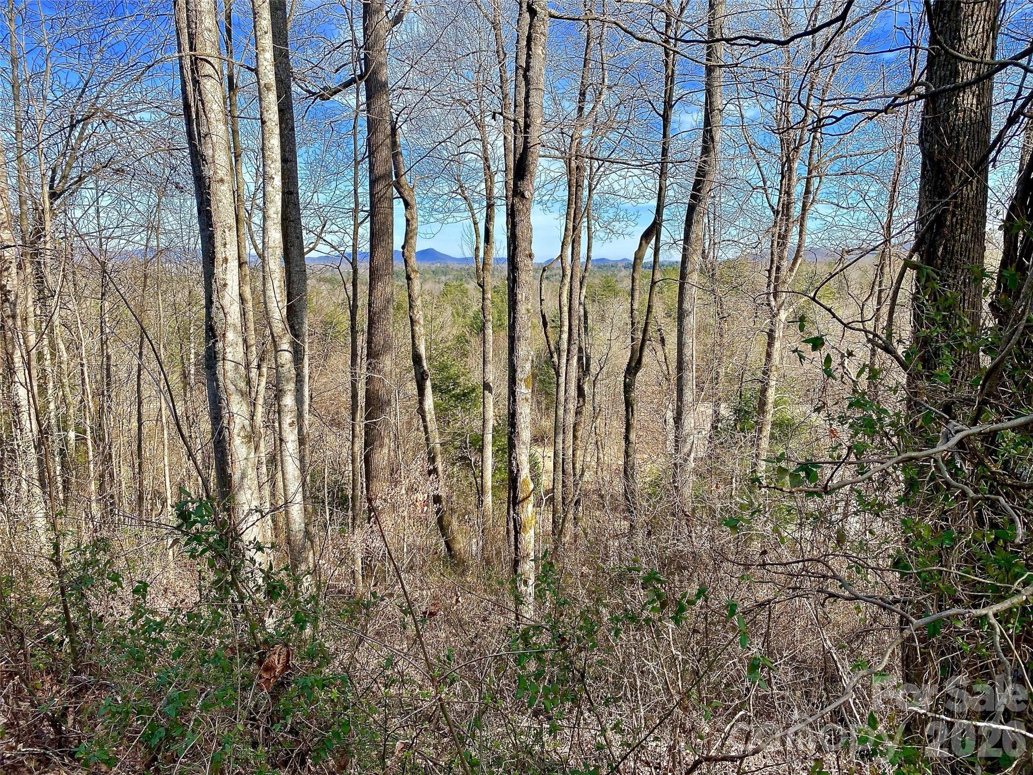 174 High Road Overlook None 24 Property Photo 1