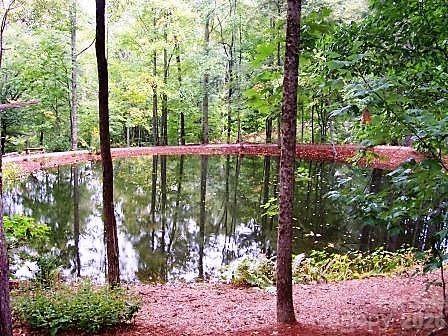 672 Southshore Drive 672 Property Photo 20