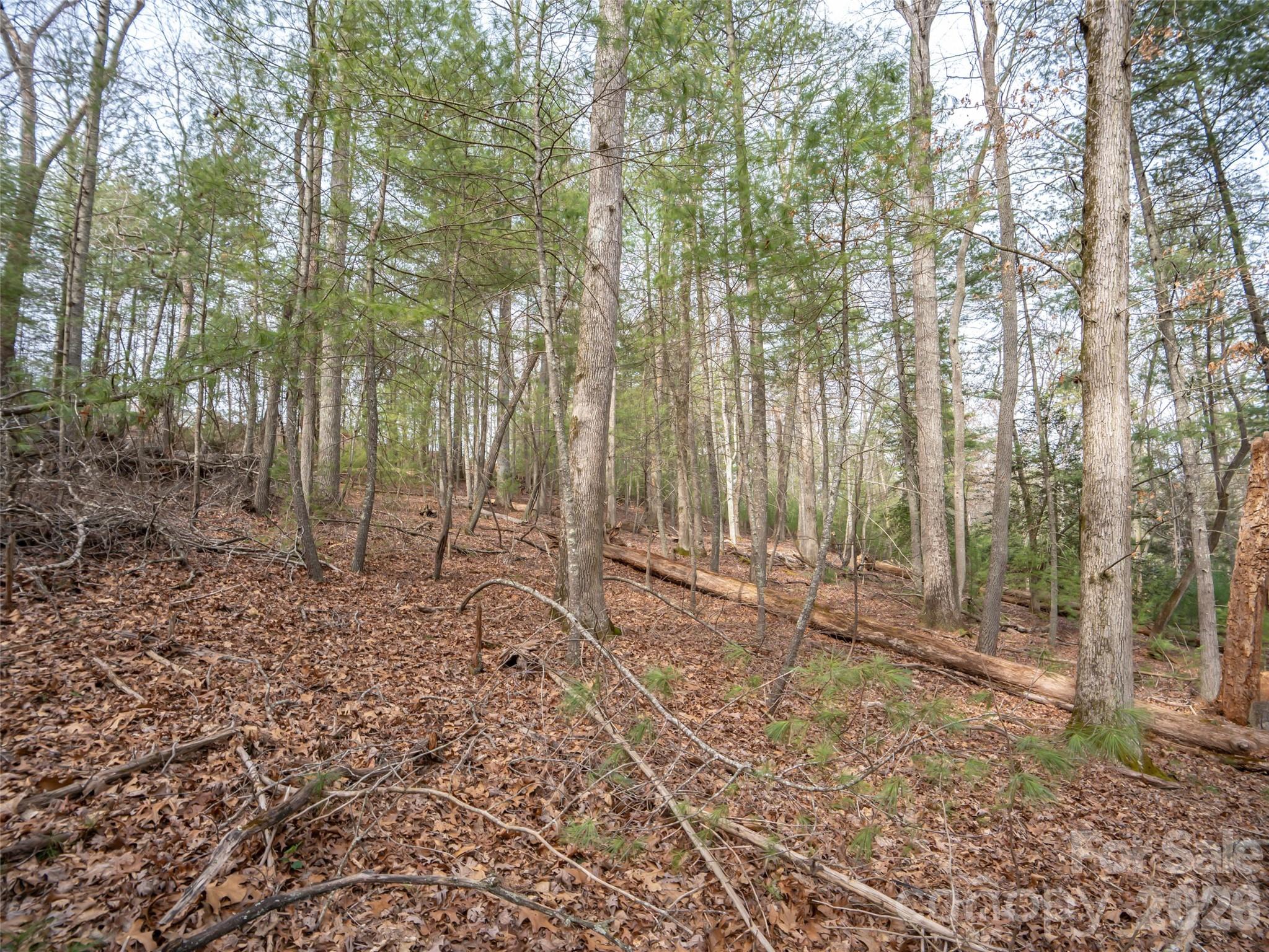 9999 Cedar Hill Drive 12 Property Photo 16