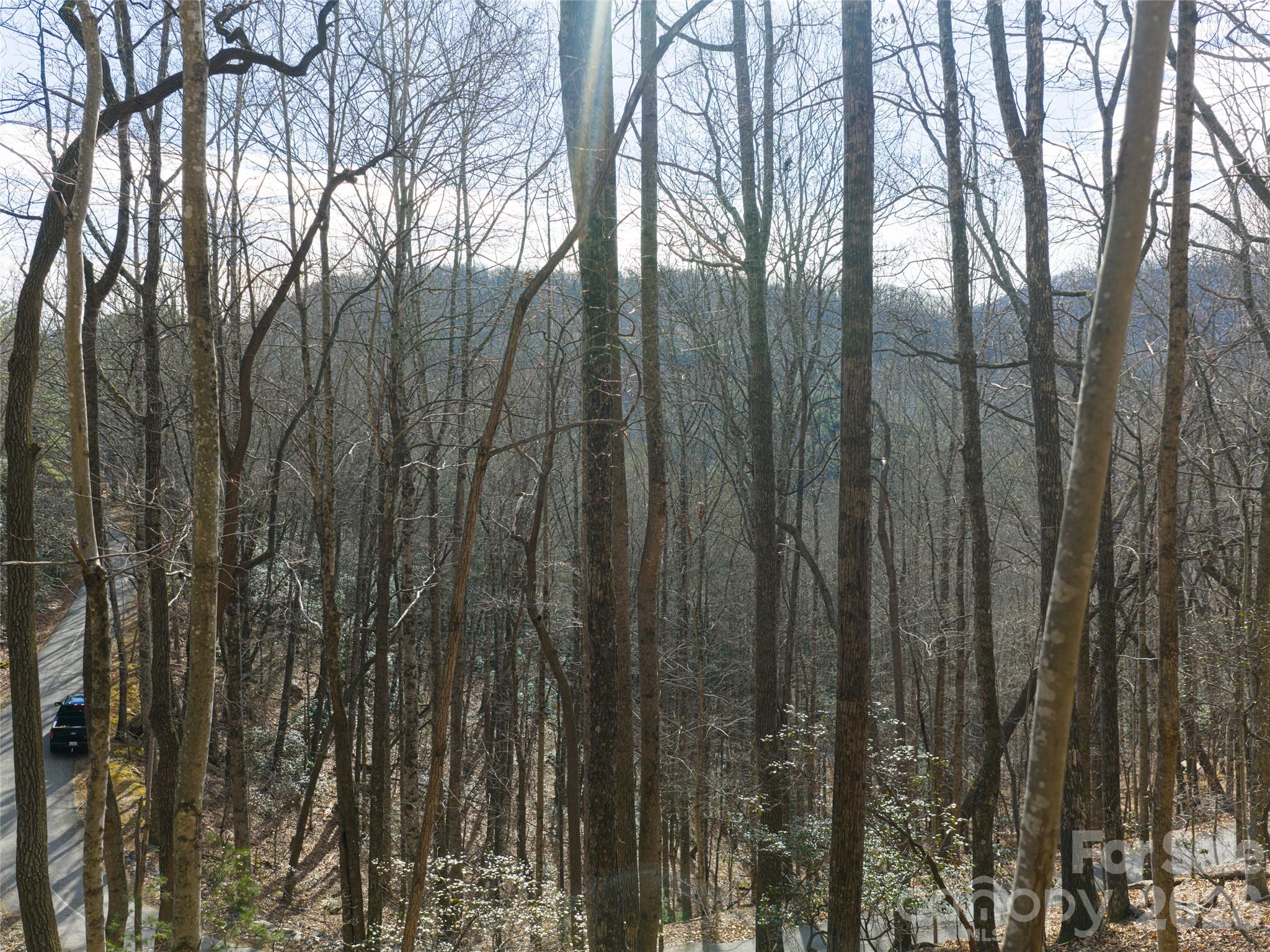 40 Cedar Drive Property Photo 13