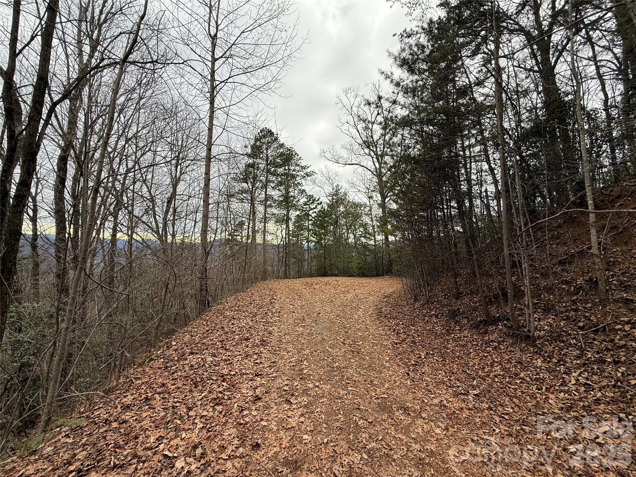 0 Betts Branch Road Property Photo 6