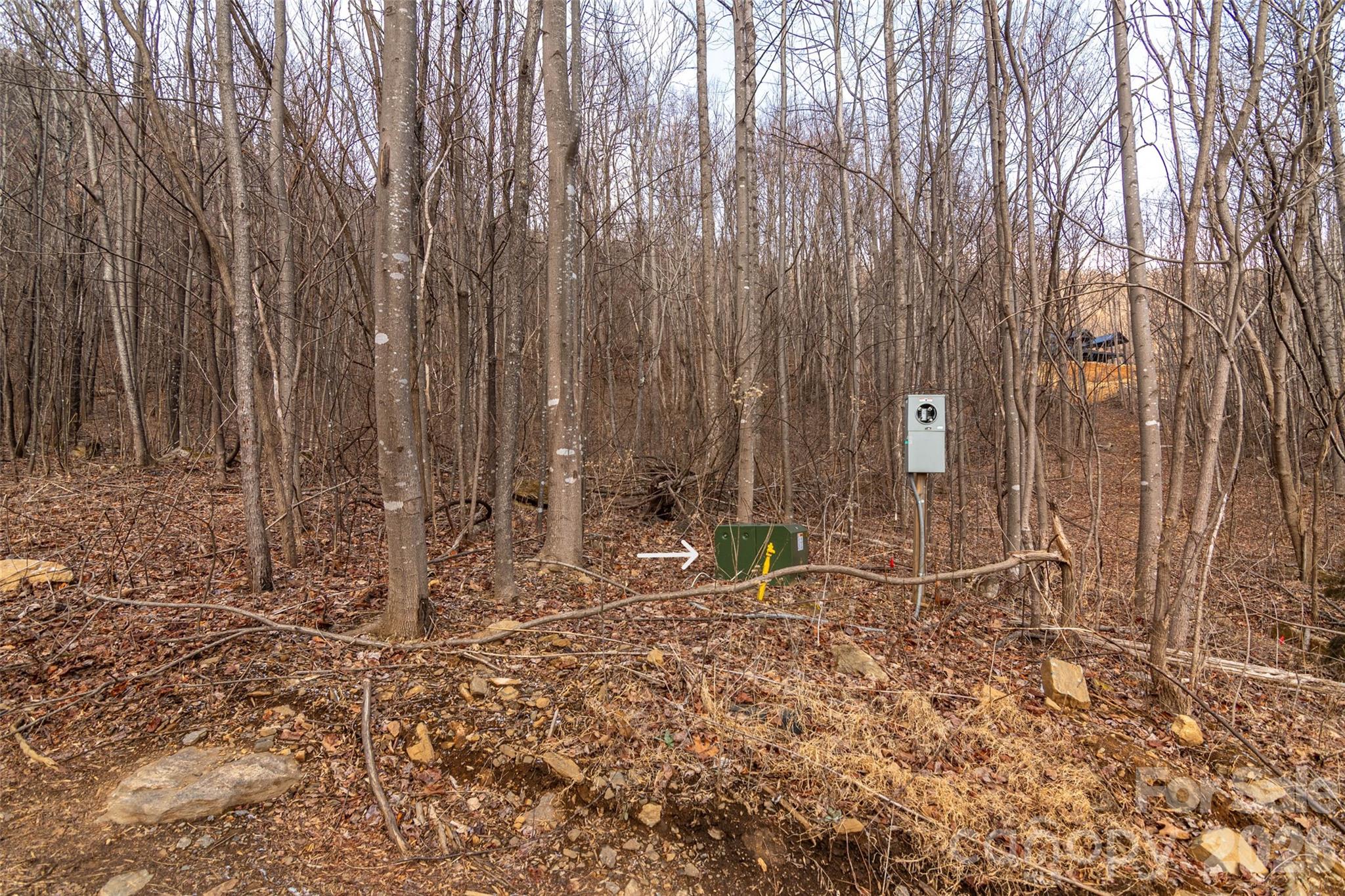 630 Spring Cove Lane Property Photo 3