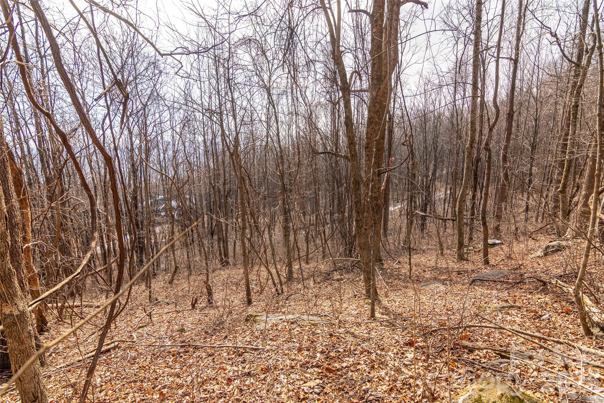 630 Spring Cove Lane Property Photo 11