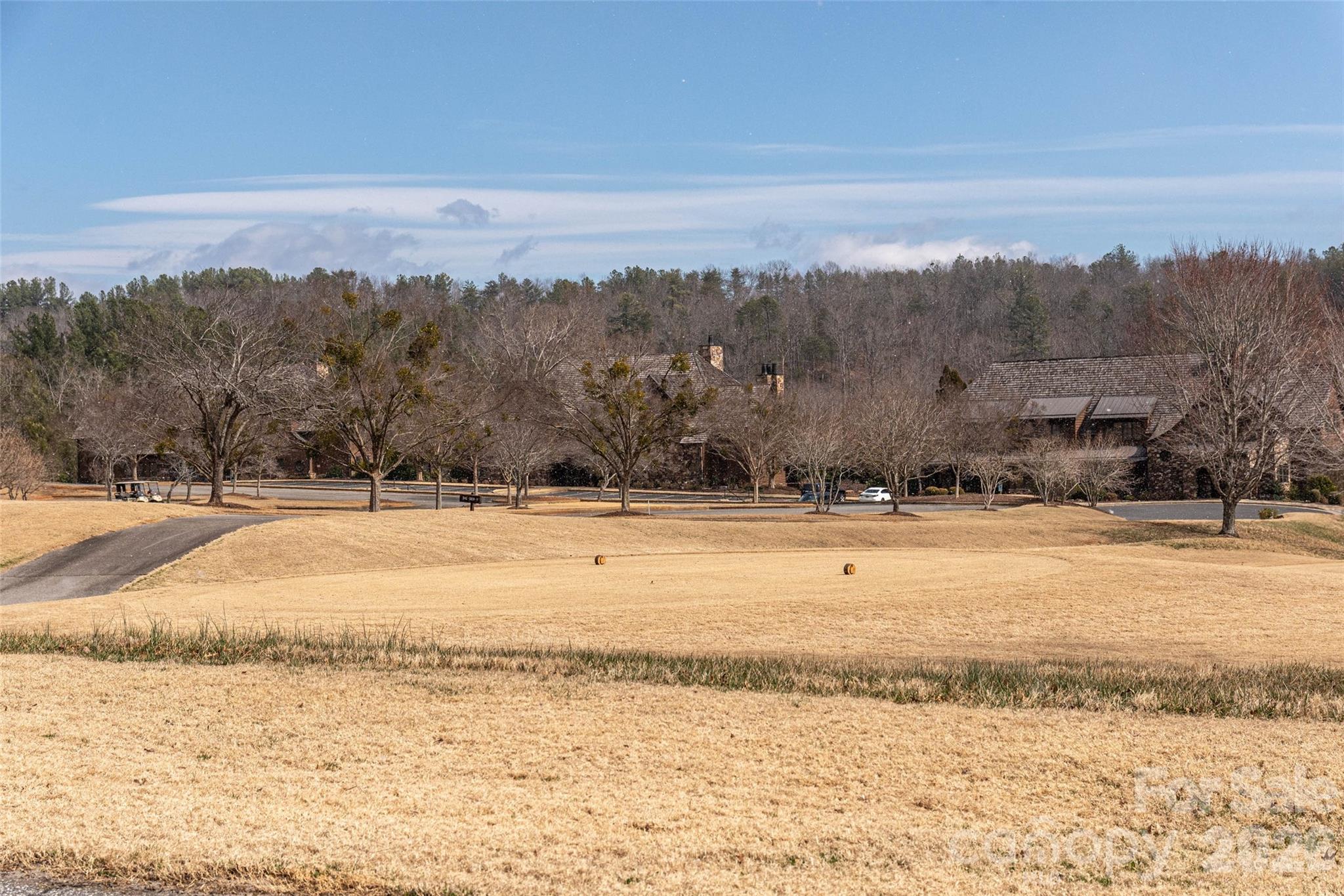 630 Spring Cove Lane Property Photo 29