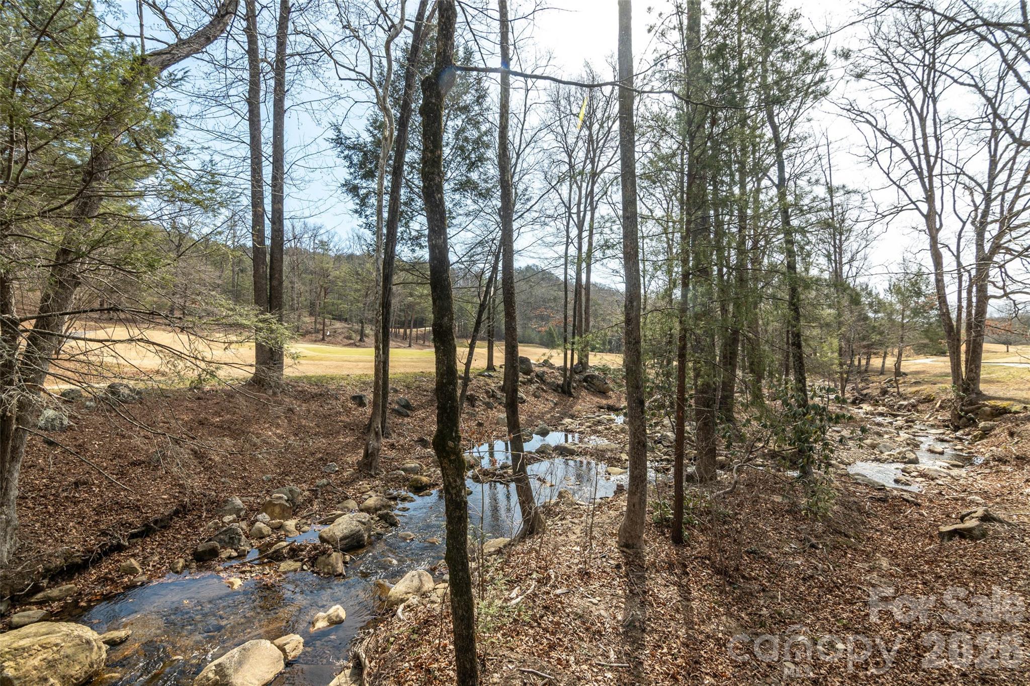630 Spring Cove Lane Property Photo 30