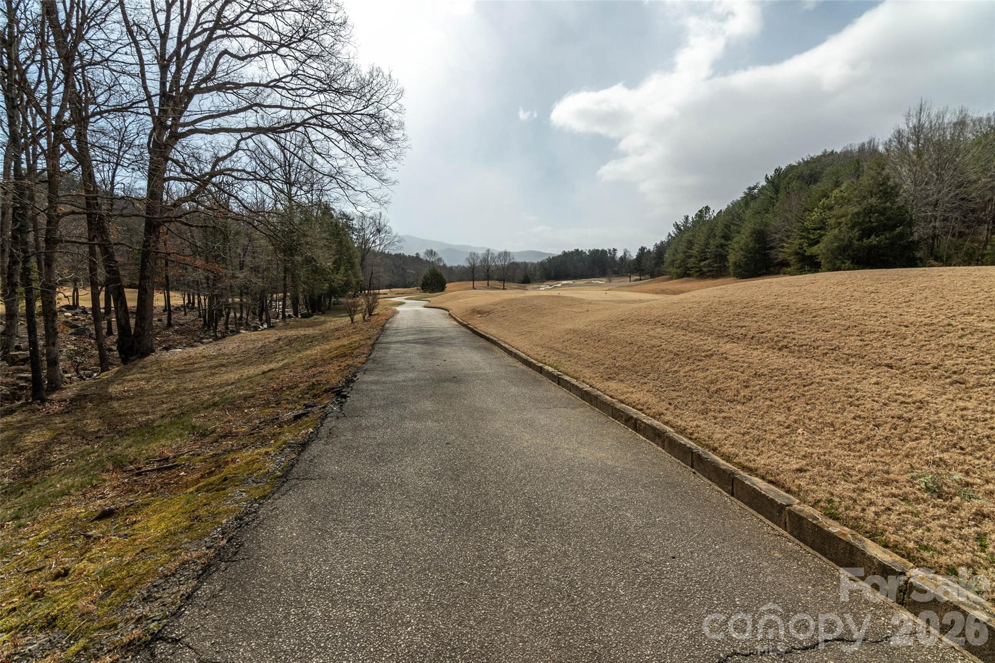 630 Spring Cove Lane Property Photo 35