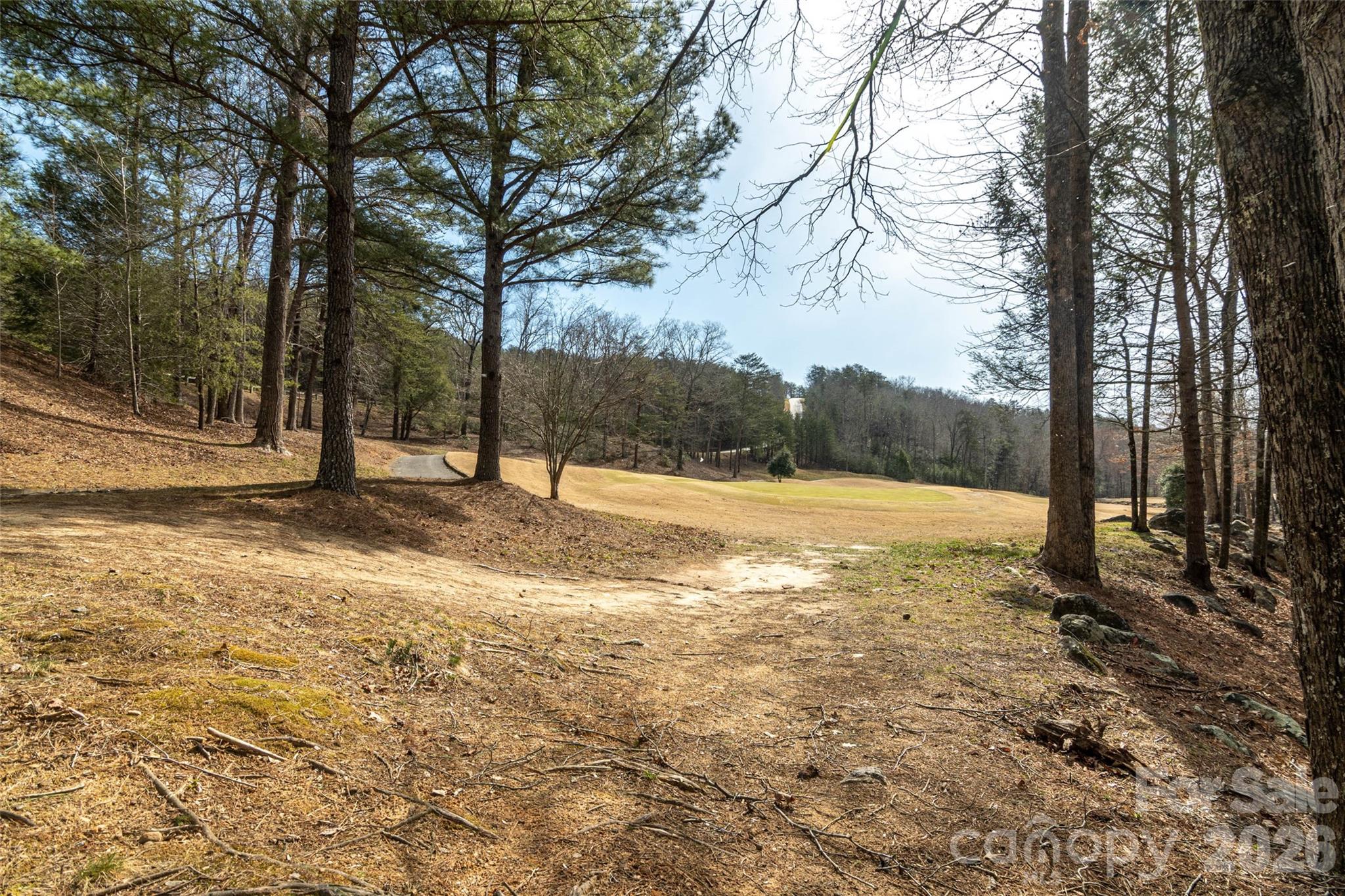 630 Spring Cove Lane Property Photo 36