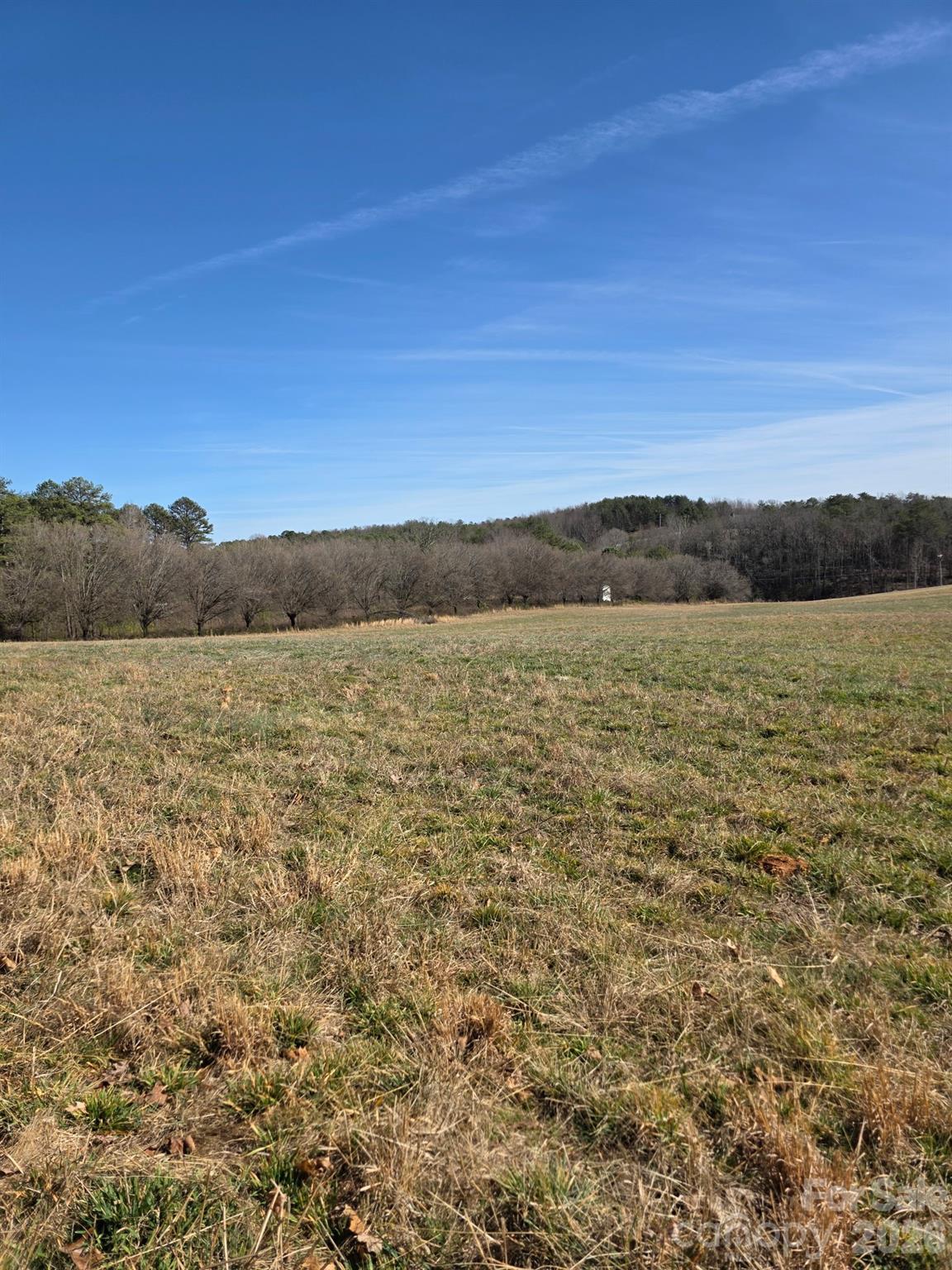 4899 Teague Town Road Property Photo 2