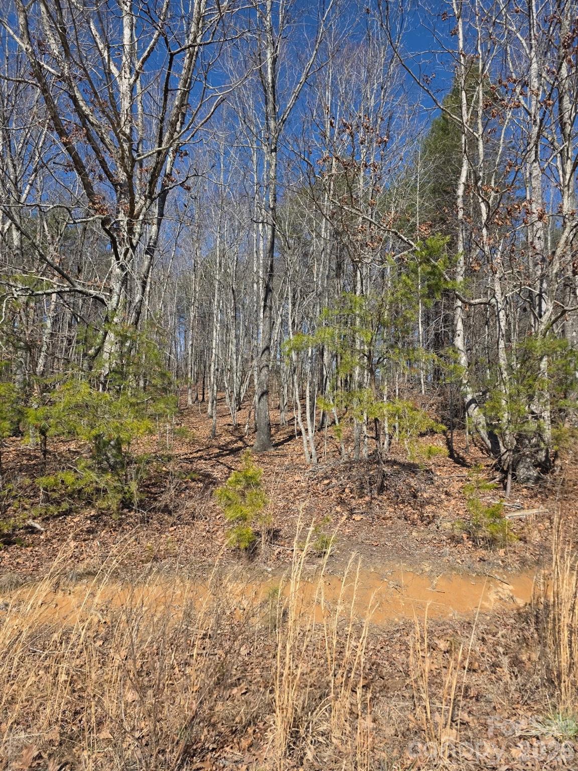 4899 Teague Town Road Property Photo 4