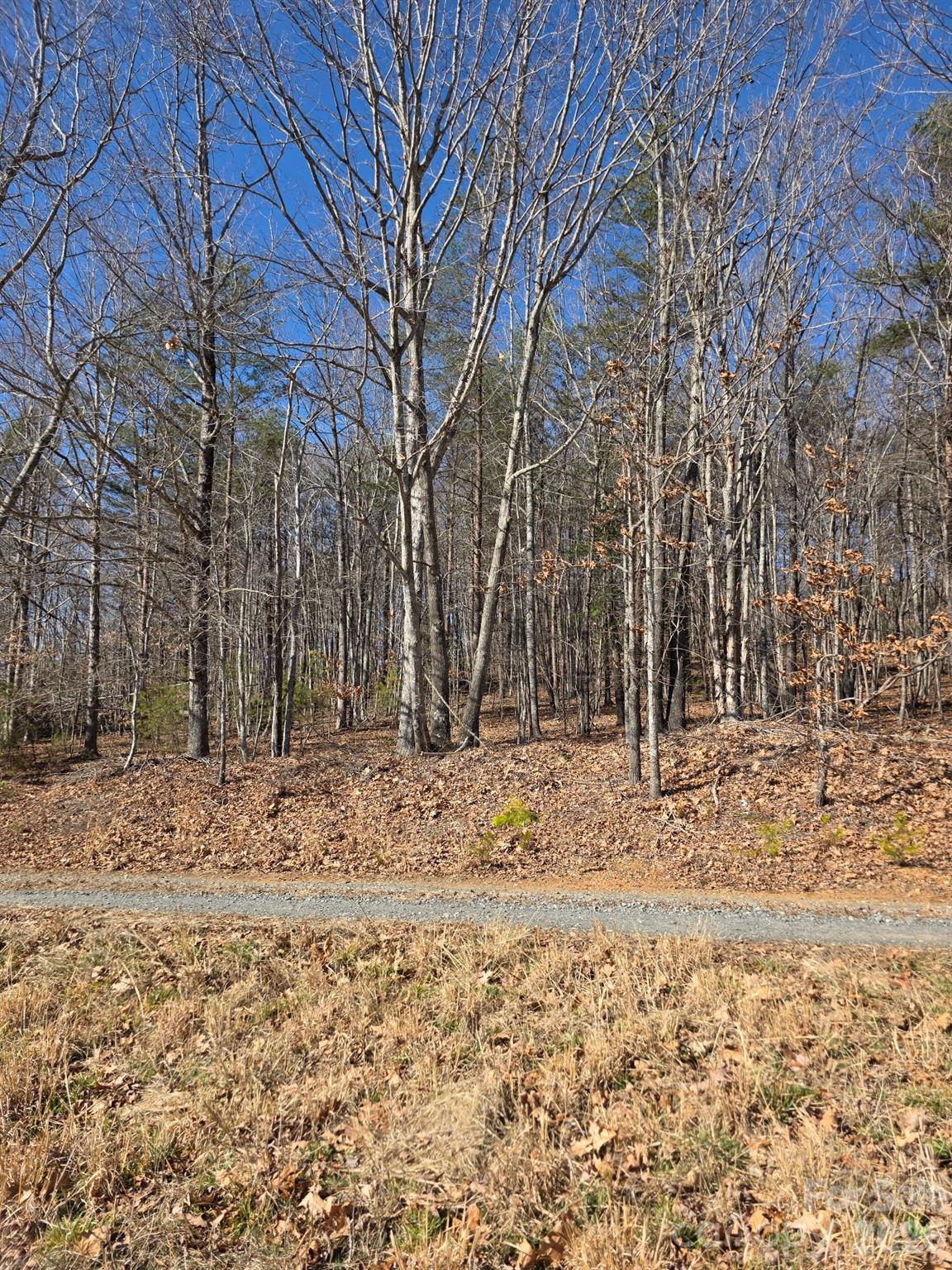 4899 Teague Town Road Property Photo 7