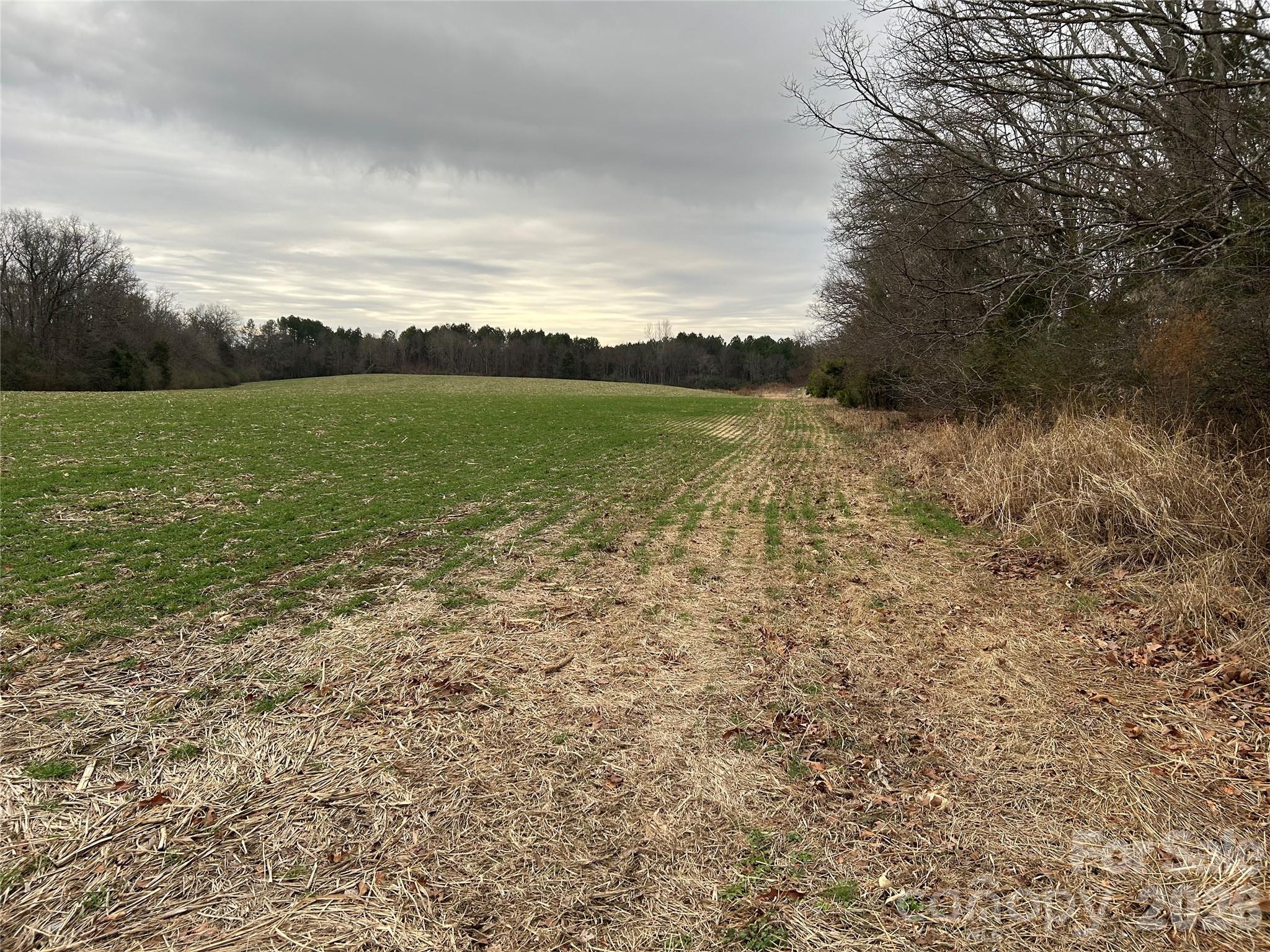 1440 Carl Taylor Road Property Photo 1