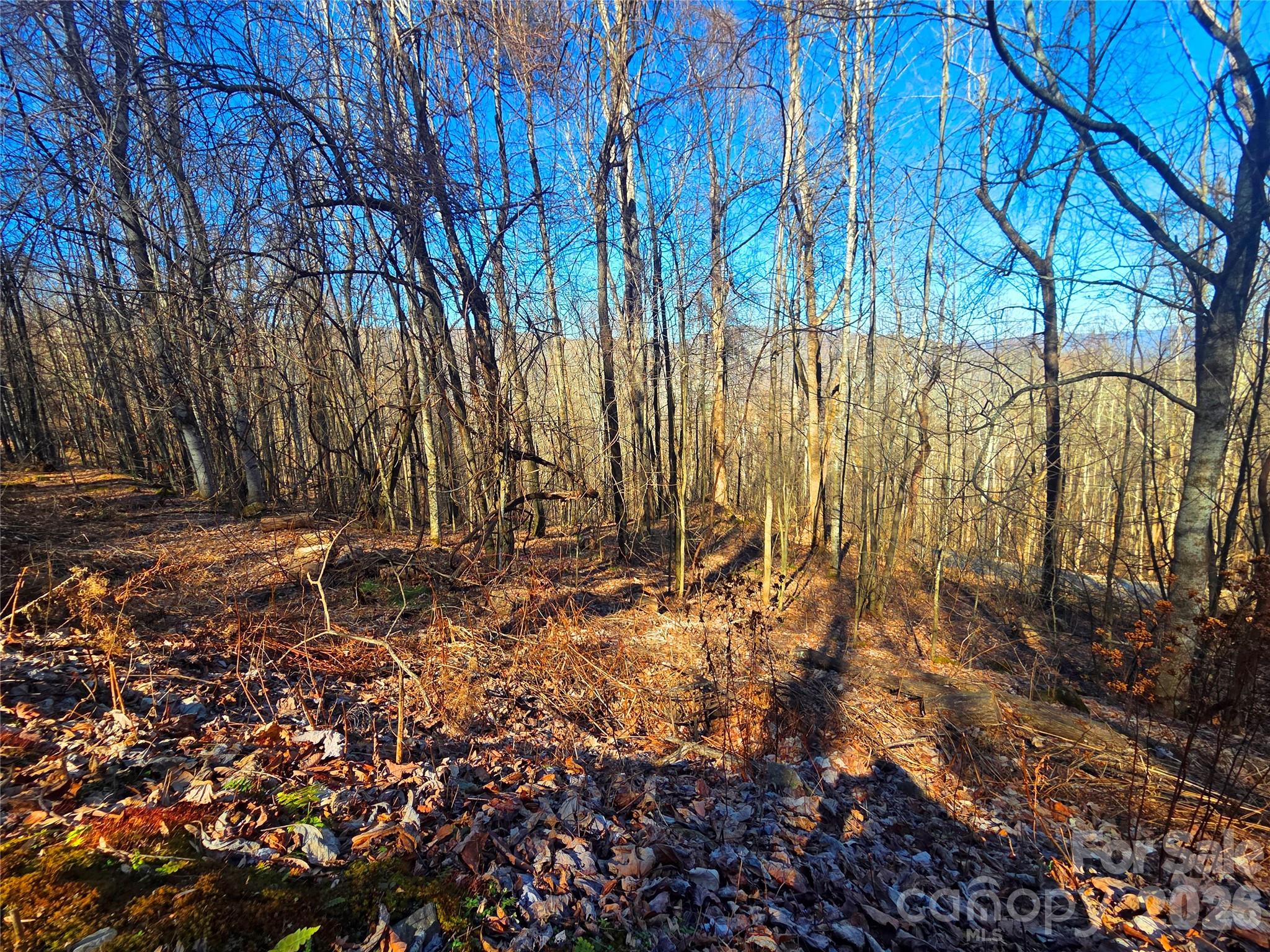 160 Slippery Rock Road 206 Property Photo 8